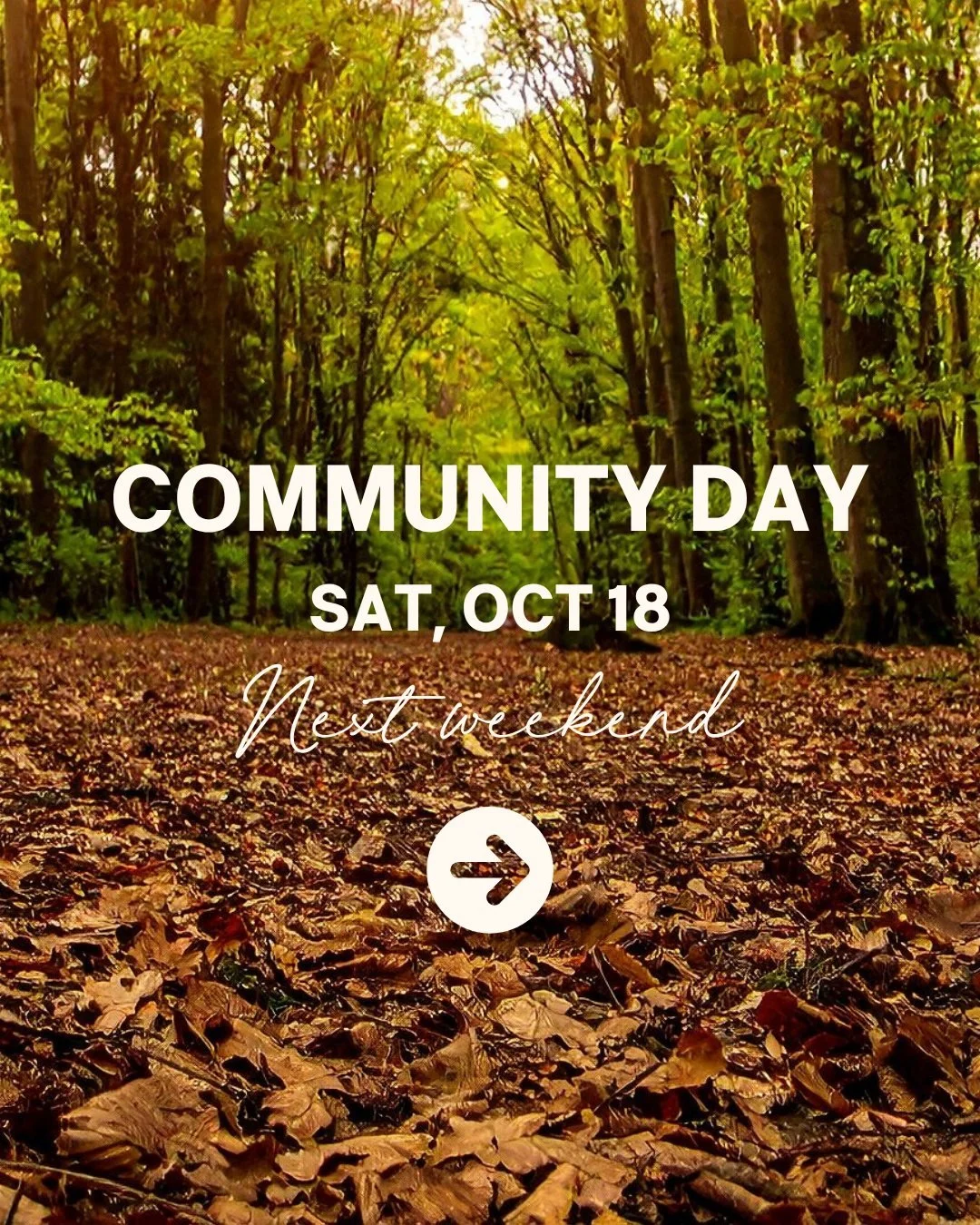 ✨ Community Day is next Saturday! ✨

Spots are filling&mdash;so if you&rsquo;ve been thinking about joining us, now is the moment to say yes. 💚

🌀 Come breathe the crisp Ozark air
🌱 Walk the land
🐴 Meet the horses
🪷 (Re)connect with yourself thr