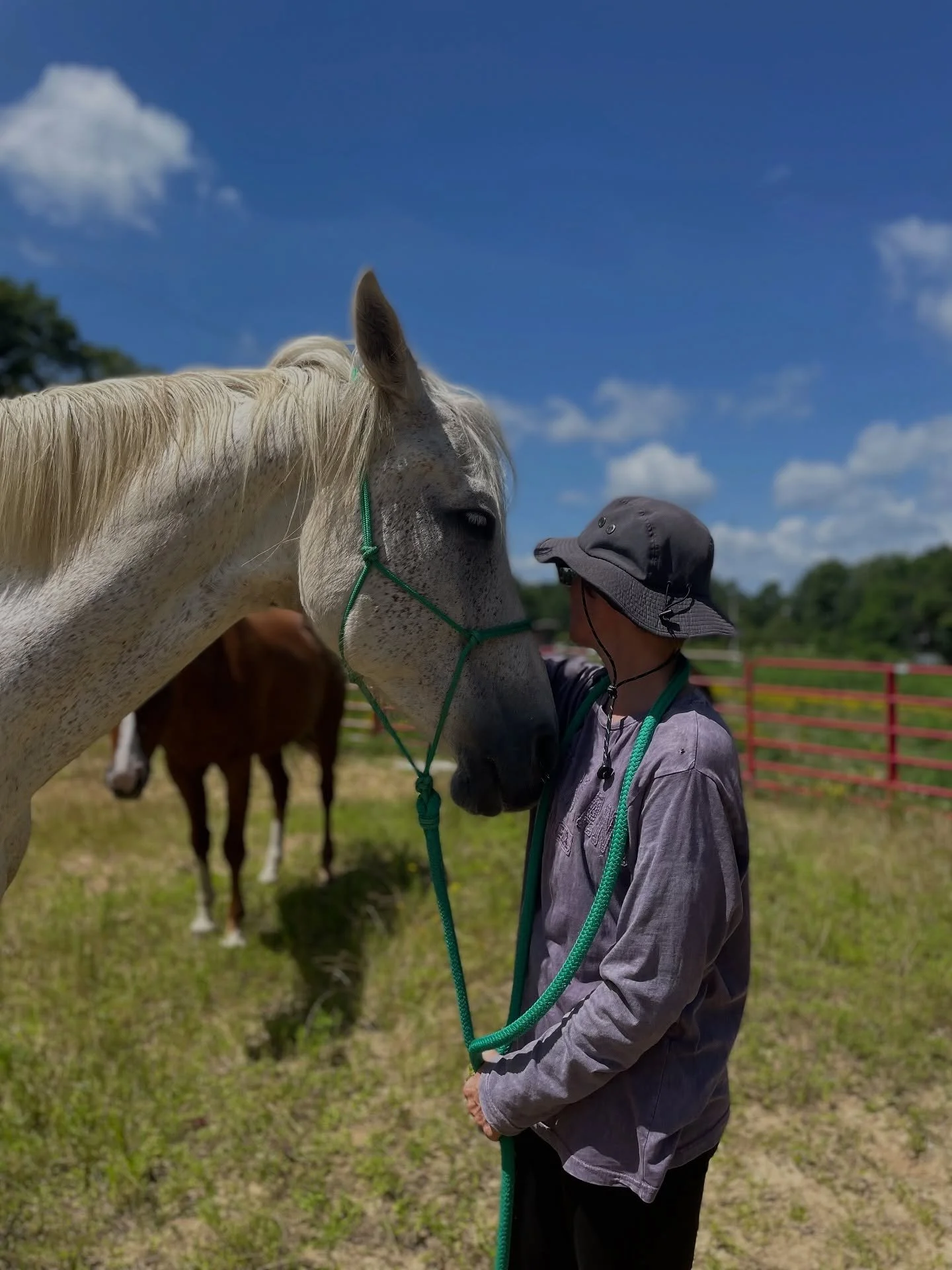 🍂 Community Day this Saturday, October 18, at the Shala&hellip;Spots are filling&hellip;

🌀 Come breathe the crisp Ozark air
🌱 Walk the land
🐴 Meet the horses
🪷 (Re)connect with yourself through gentle yoga practice
...and so much more!

🎟️ Pas