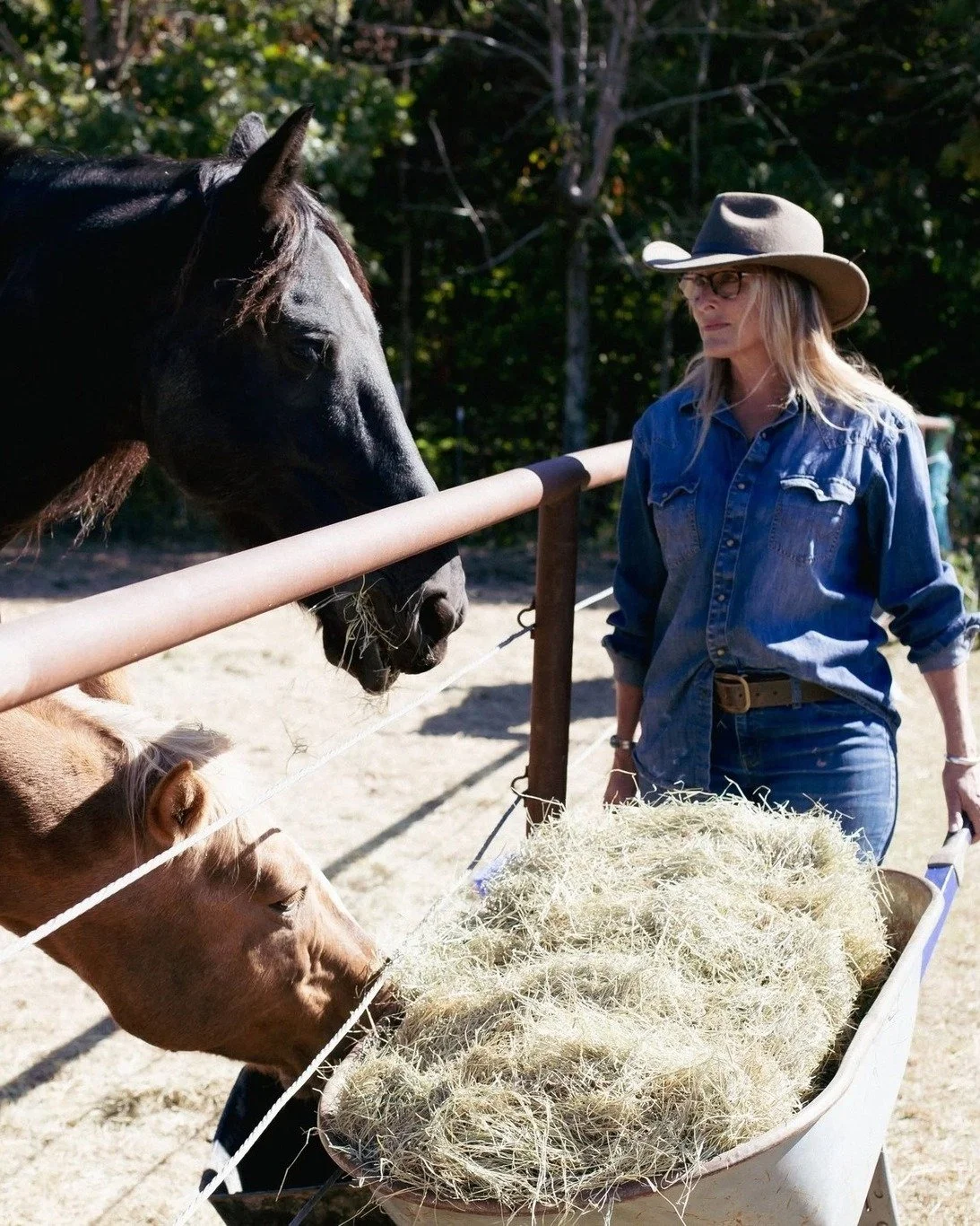 ⏰ Last Chance to Give Before Year-End ⏰

As the year comes to a close, you still have time to make a powerful, life-saving impact &mdash; and receive a tax-deductible benefit for 2025.

🌹 The Rose Angel Foundation, founded by Holly Krepps, is dedica