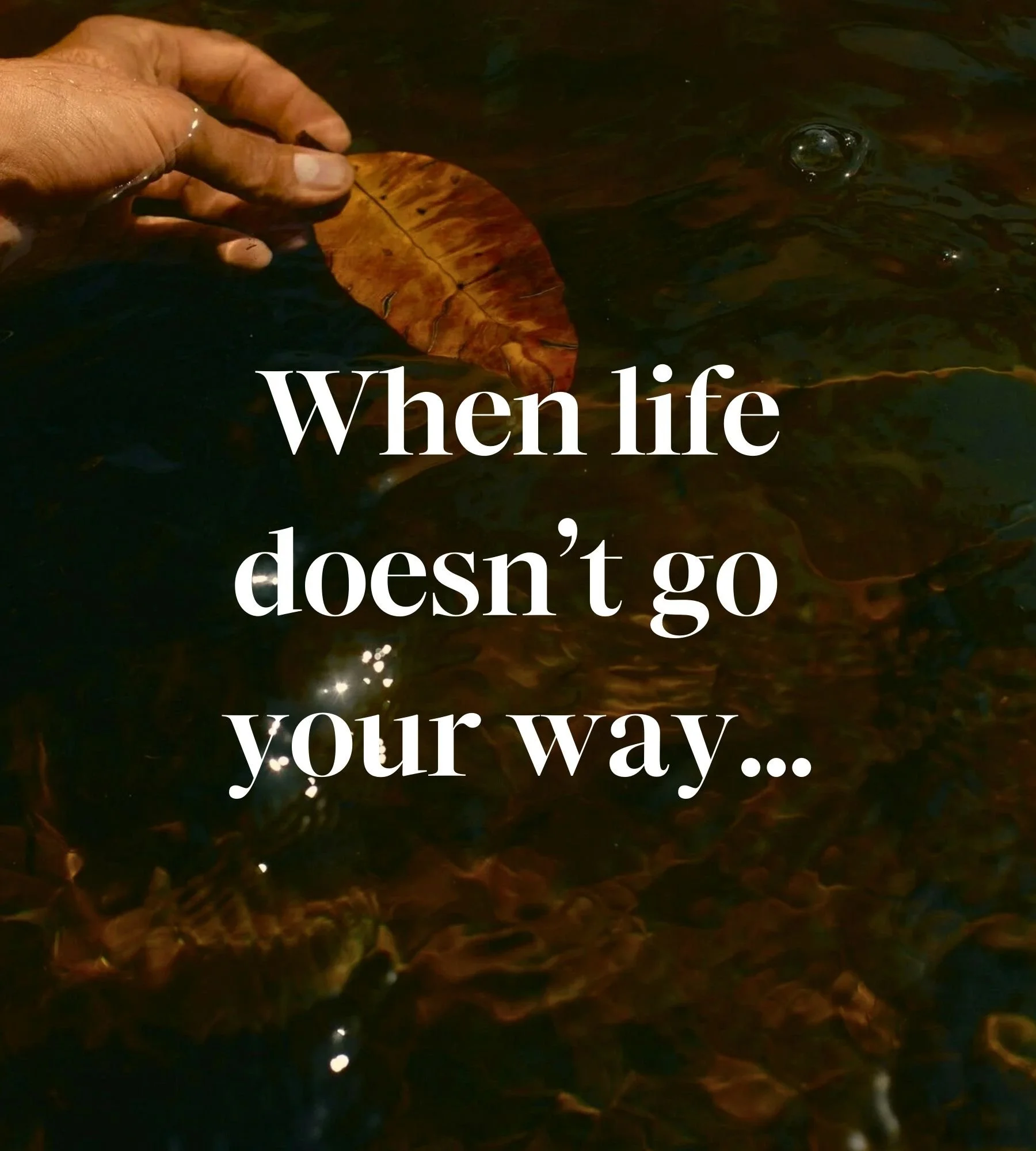 Most of our suffering doesn&rsquo;t come from what&rsquo;s happening &mdash;
it comes from abandoning ourselves when it doesn&rsquo;t go our way.

So much of the Work is learning how to stay.
🍃 To stay with sensation.
🍃 To stay with breath.
🍃 To s