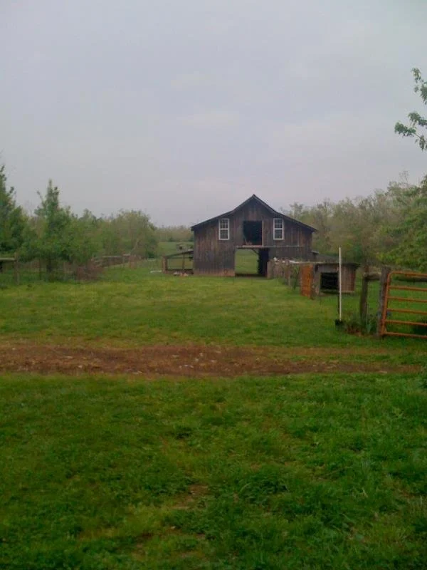 A rustic wooden barn in a rural farm setting with grassy fields and trees, overcast sky.