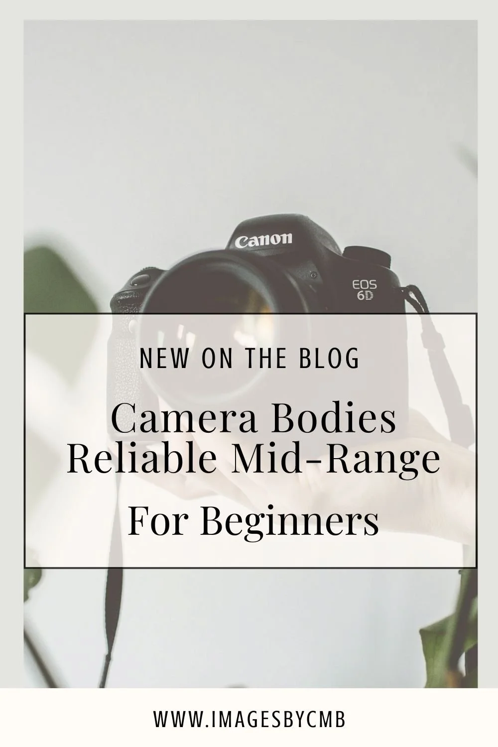 Camera bodies: mid-range options