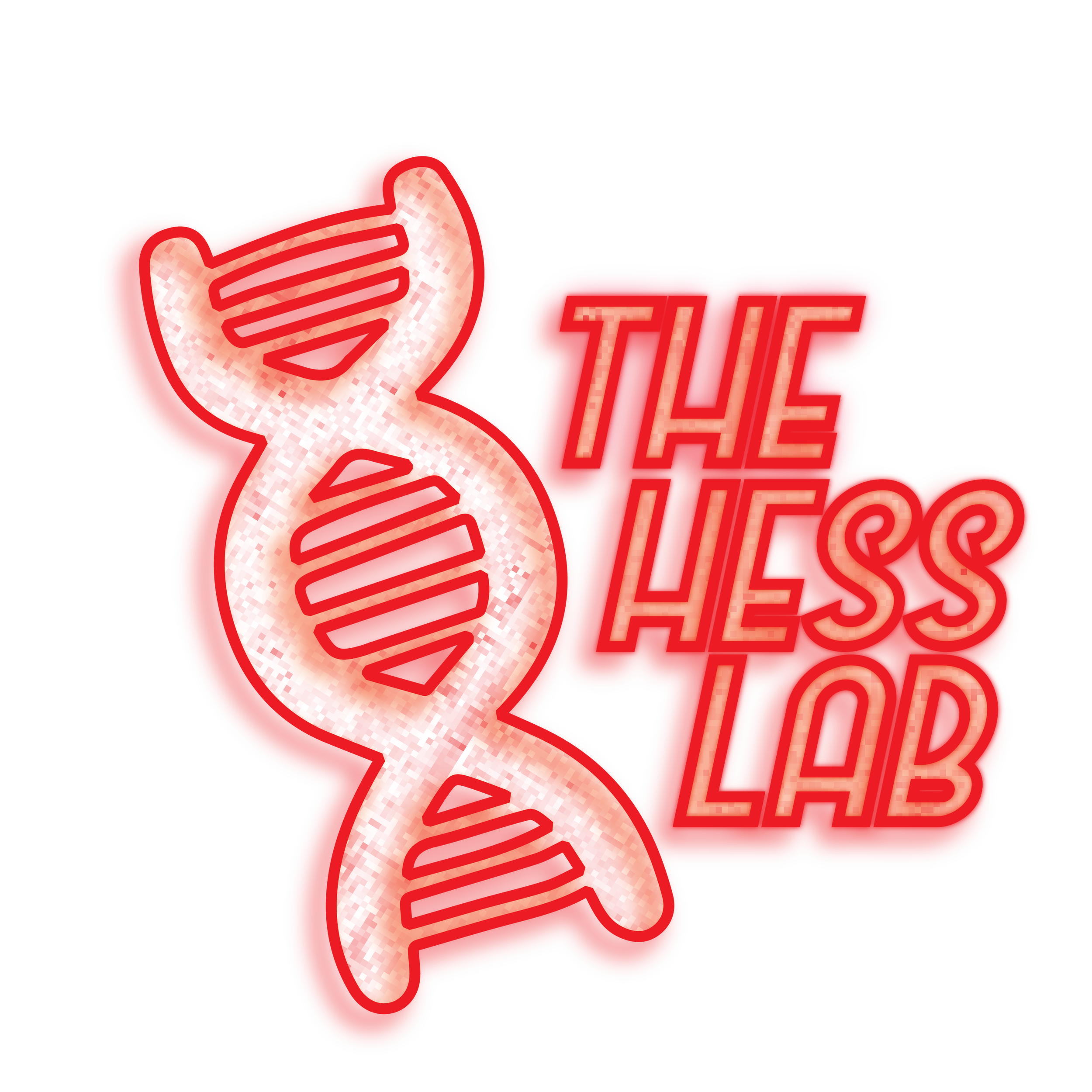 Welcome to new Hess Lab members!