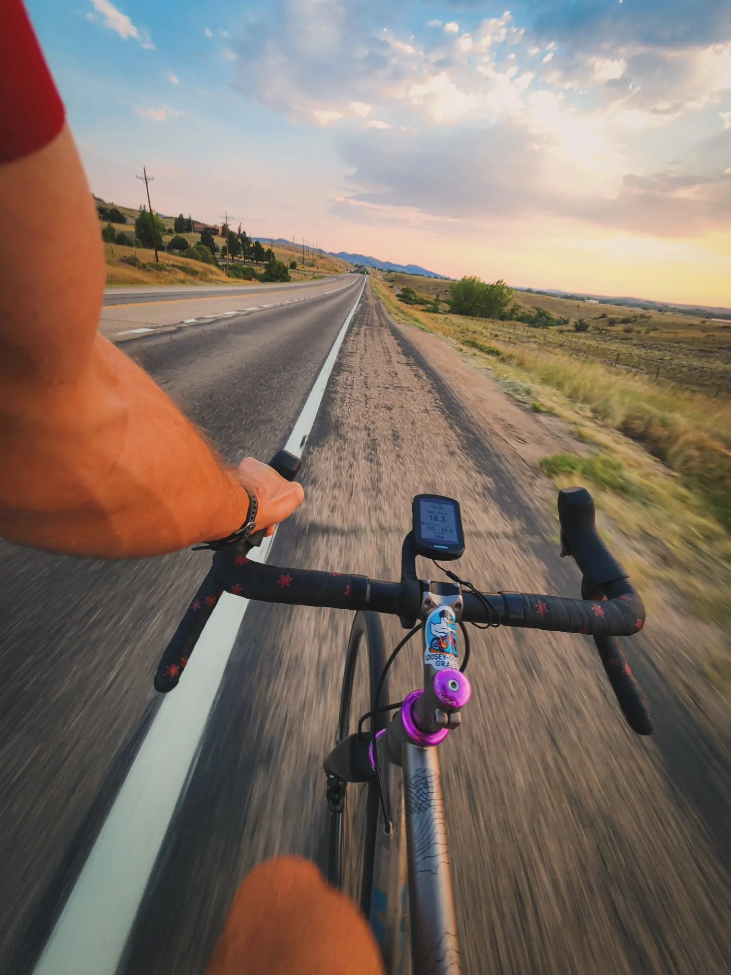 August Snaps...📸

...sunflower season in Boulder🌻...

...sneaky afternoon dates 🍺...

...unstructured morning noodle rides...

...playing with the dogs 🐕...

...the busiest bike shop month of the year...

...balanced with more doggy play time...
