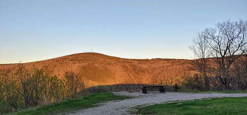 20200523_195528_HDR.jpg