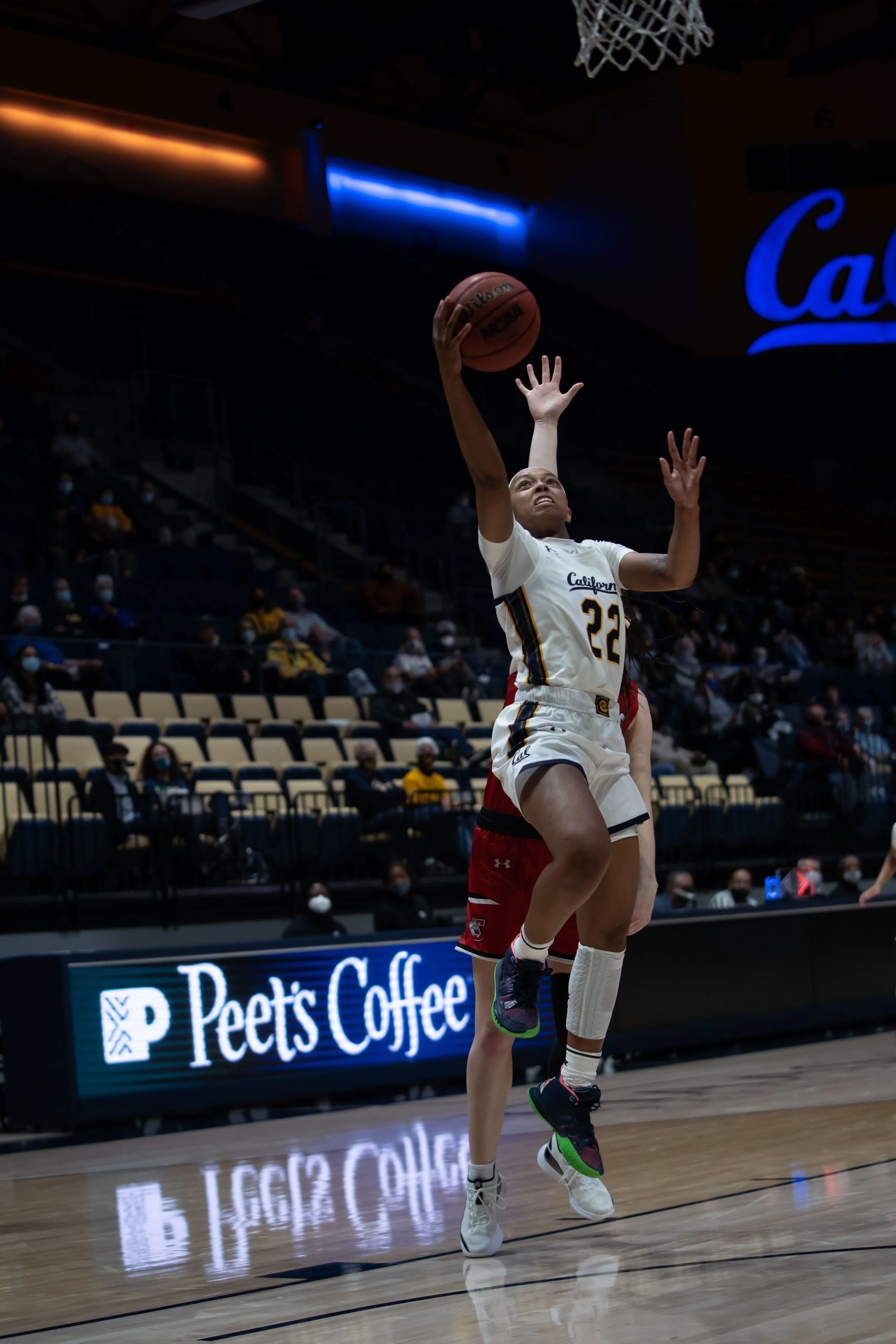 Cailyn Crocker_Cal_WBB_20211104_193602_ArdinLo-4.jpg
