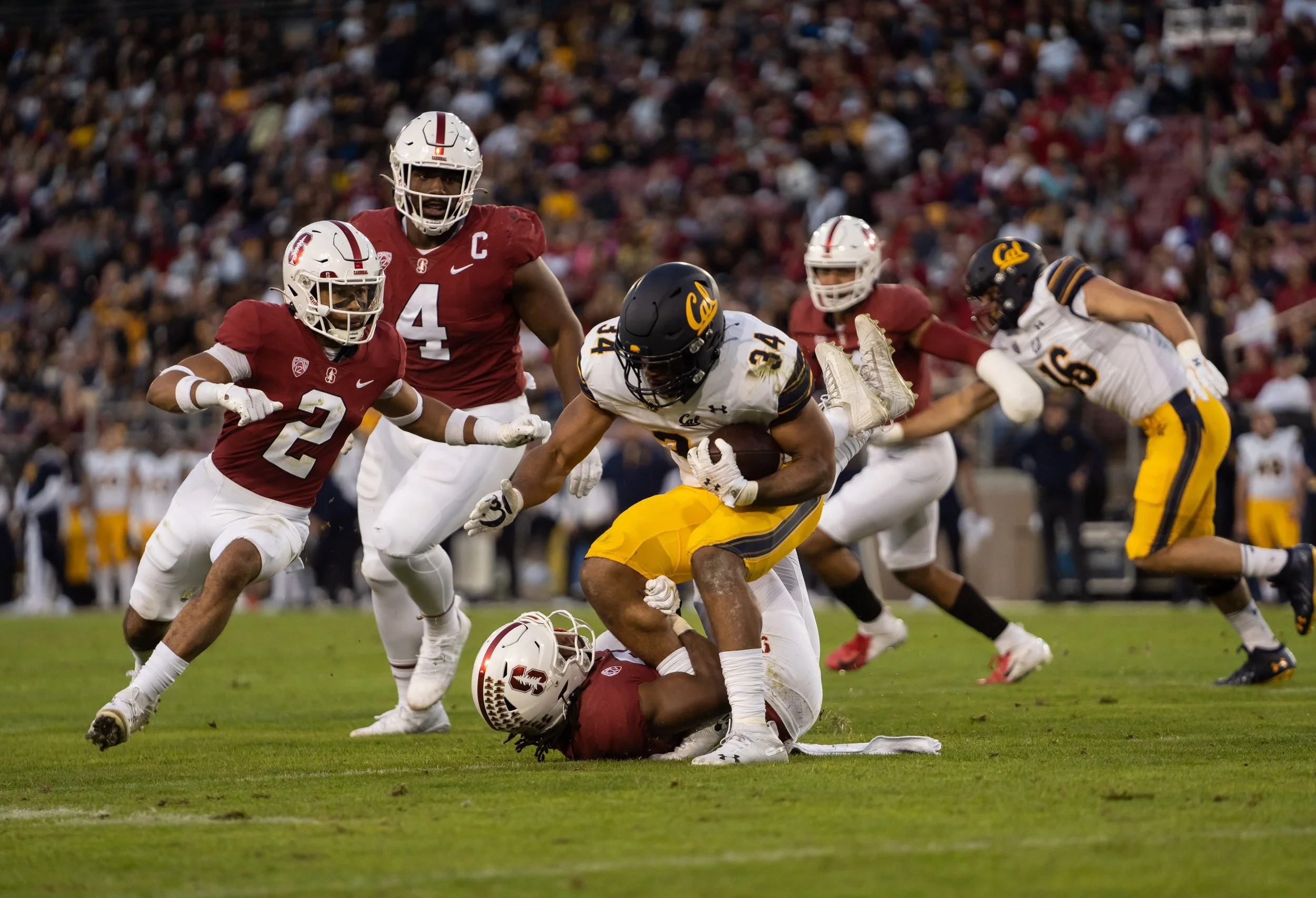 Christopher Brooks_Cal_FB_20211120_174754_ArdinLo.jpg