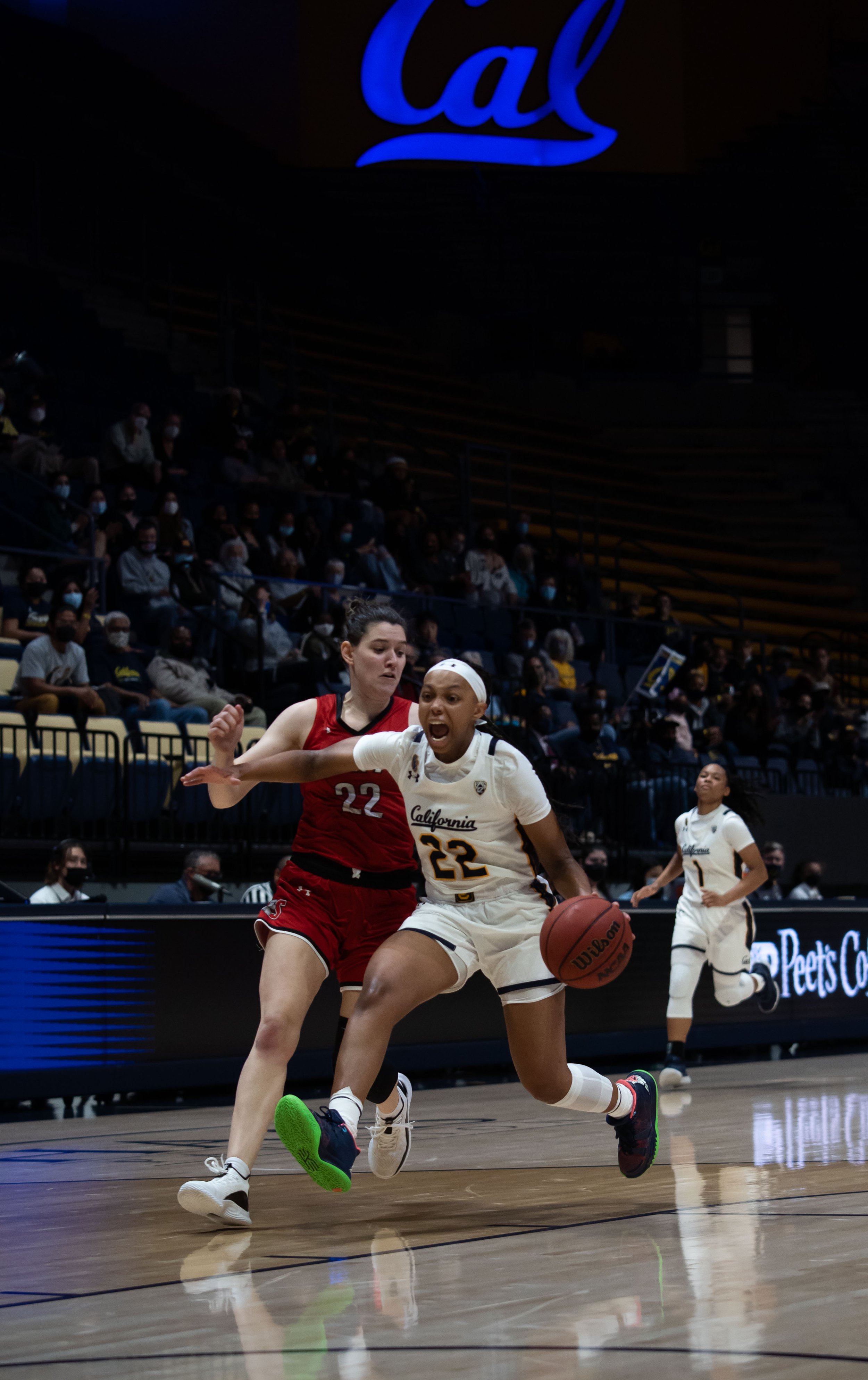 Cailyn Crocker_Cal_WBB_20211104_193602_ArdinLo.jpg