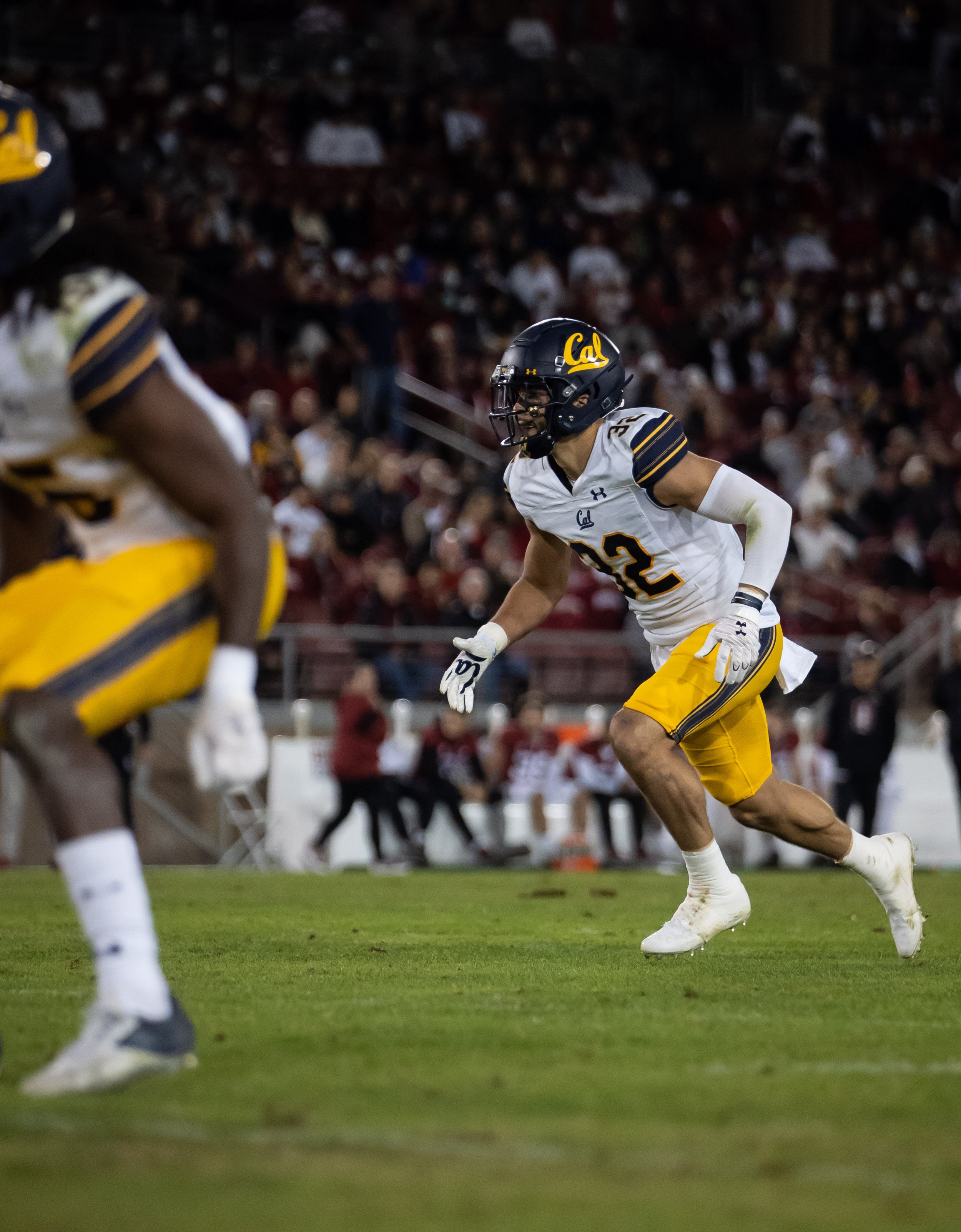 Daniel Scott_Cal_FB_20211120_190641_ArdinLo.jpg