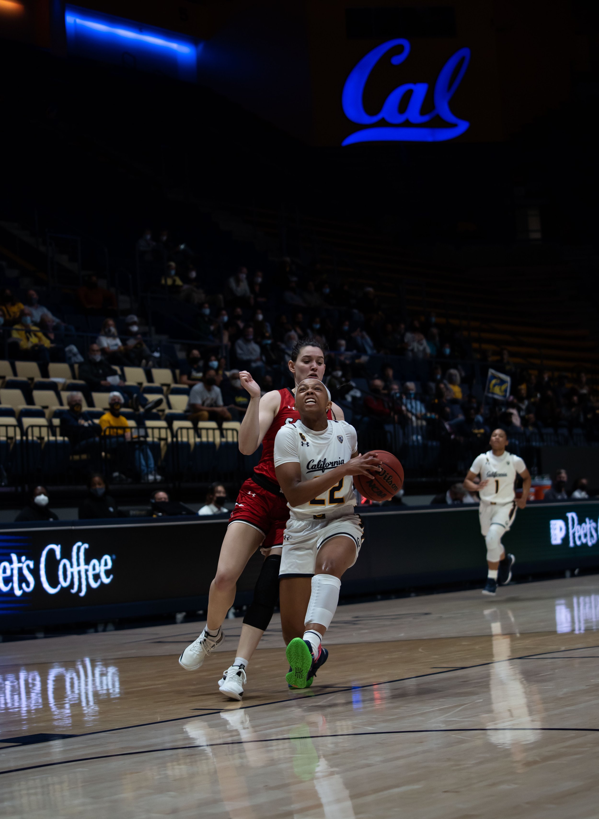 Cailyn Crocker_Cal_WBB_20211104_193602_ArdinLo-3.jpg