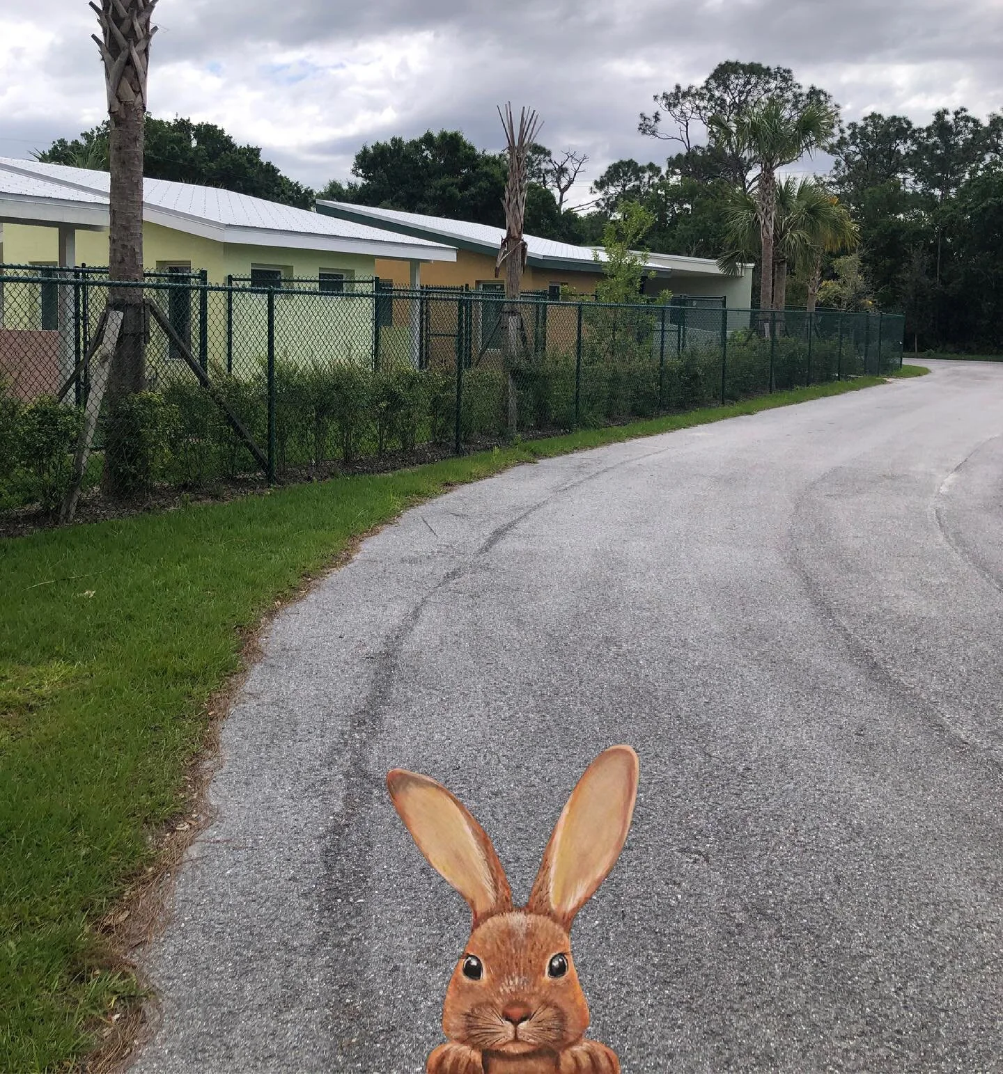 Rabbit Free Zone 🚫🐰

#fencing #fences #gates #ftpierce #melbourne #portstlucie #indianrivershores #local #florida