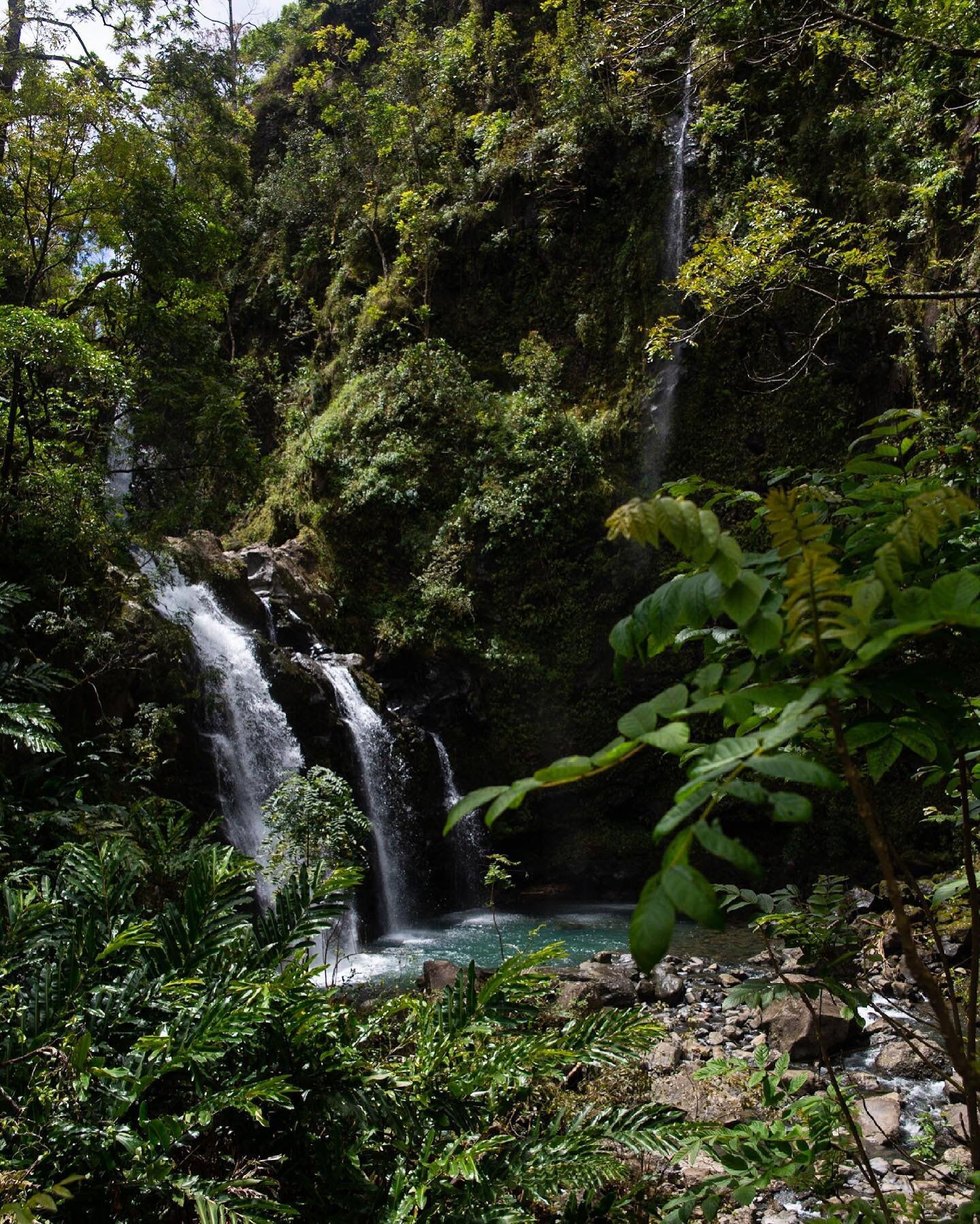 Often times I really don&rsquo;t know how this place is real 🌿✨