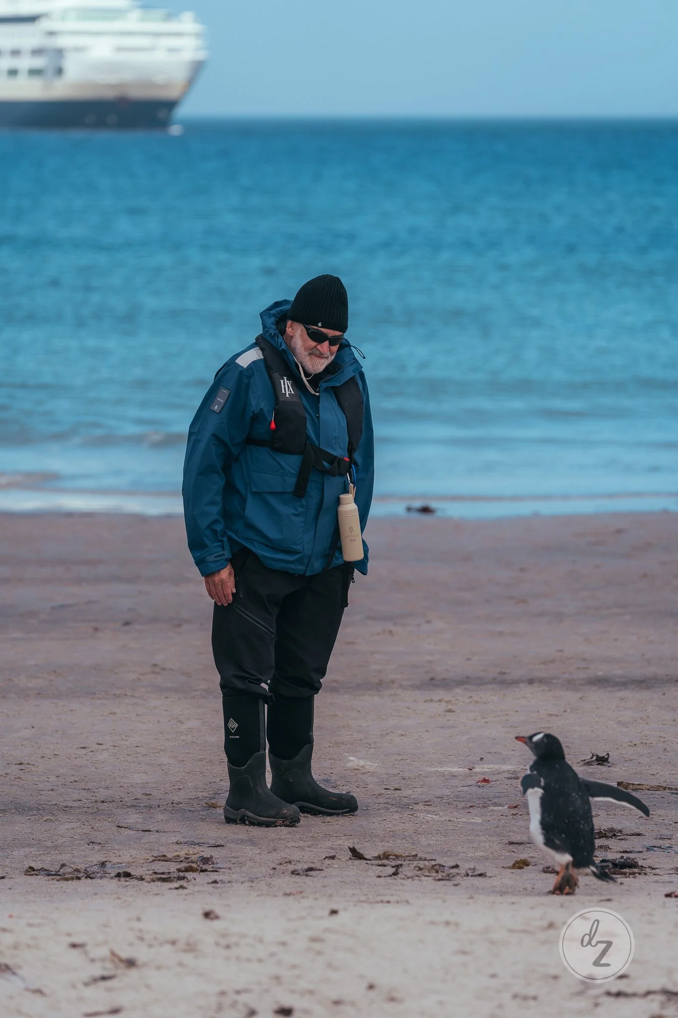 dave-zaple-antarctic-expedition-photography-penguin-passenger.jpg