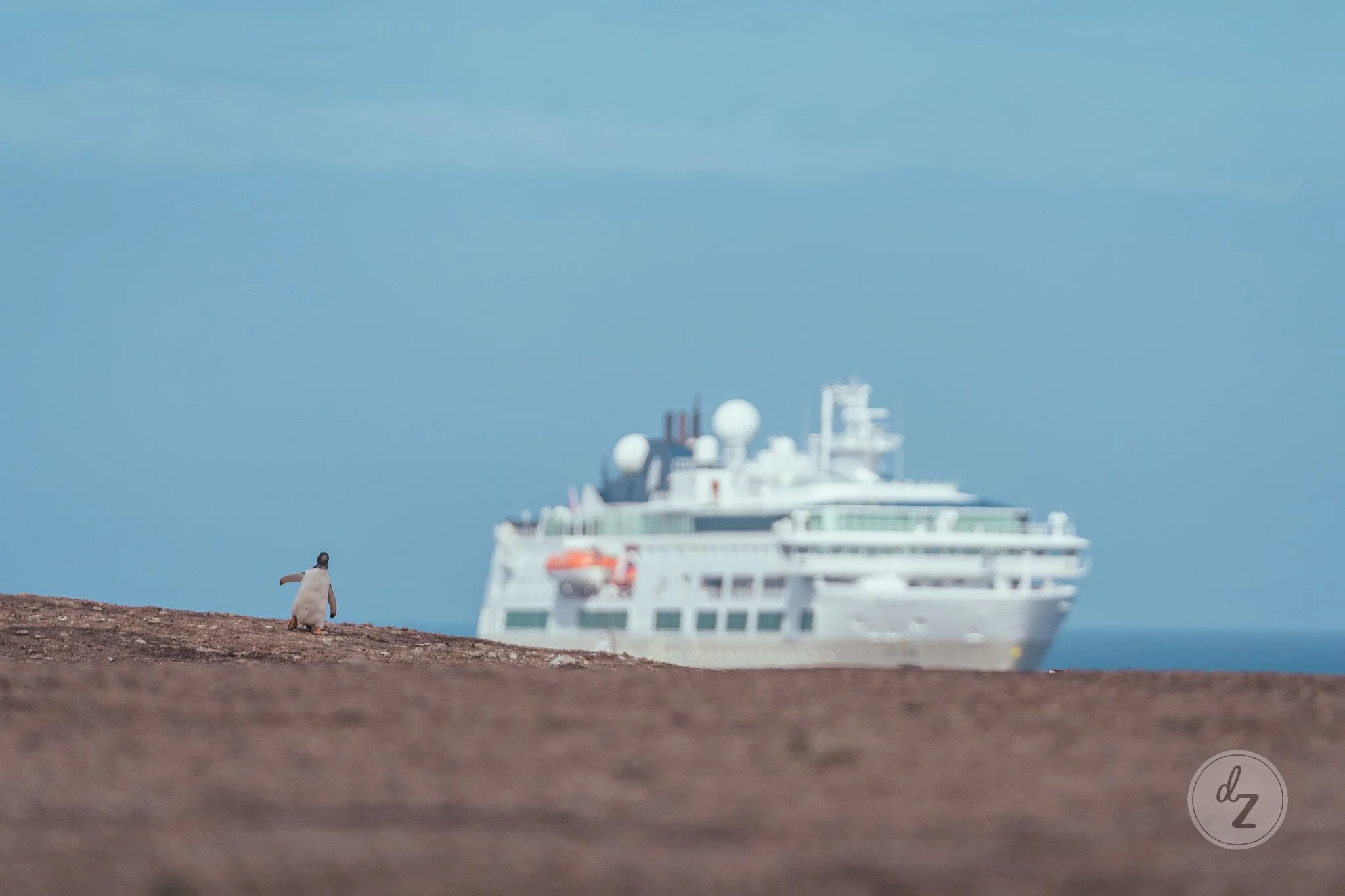 dave-zaple-antarctic-expedition-photography-penguin-ship.jpg
