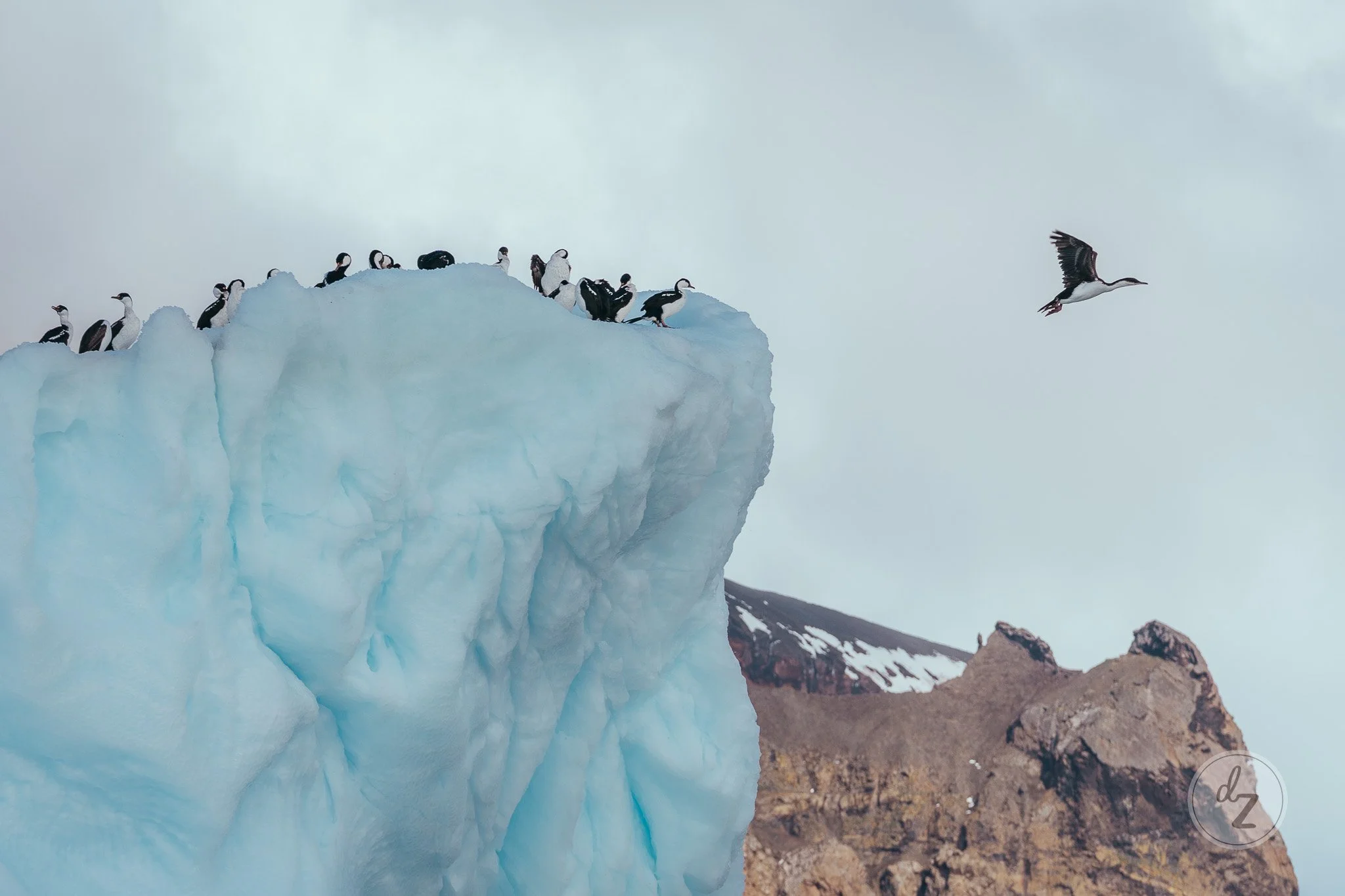 dave-zaple-antarctic-peninsula-26.jpg