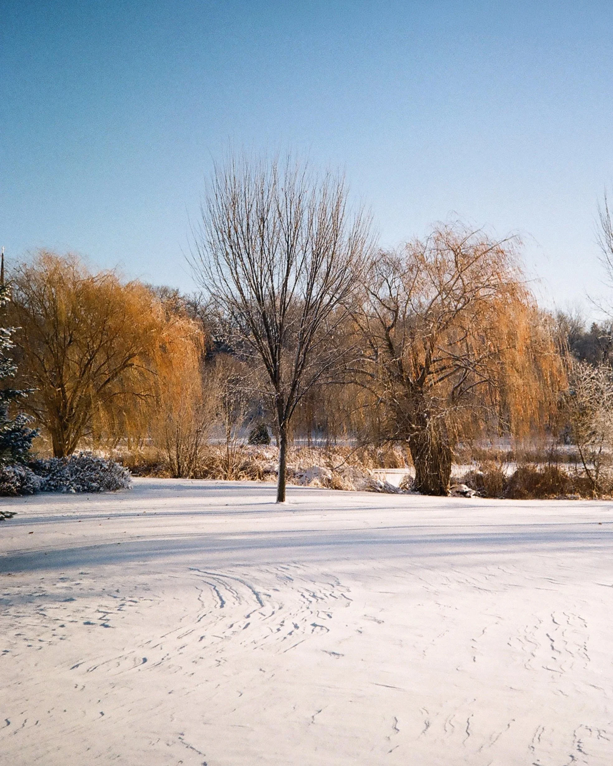 Winter 2025