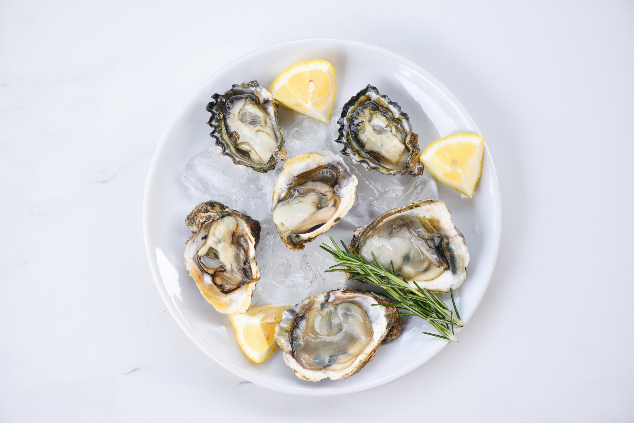 oysterlibido.jpg