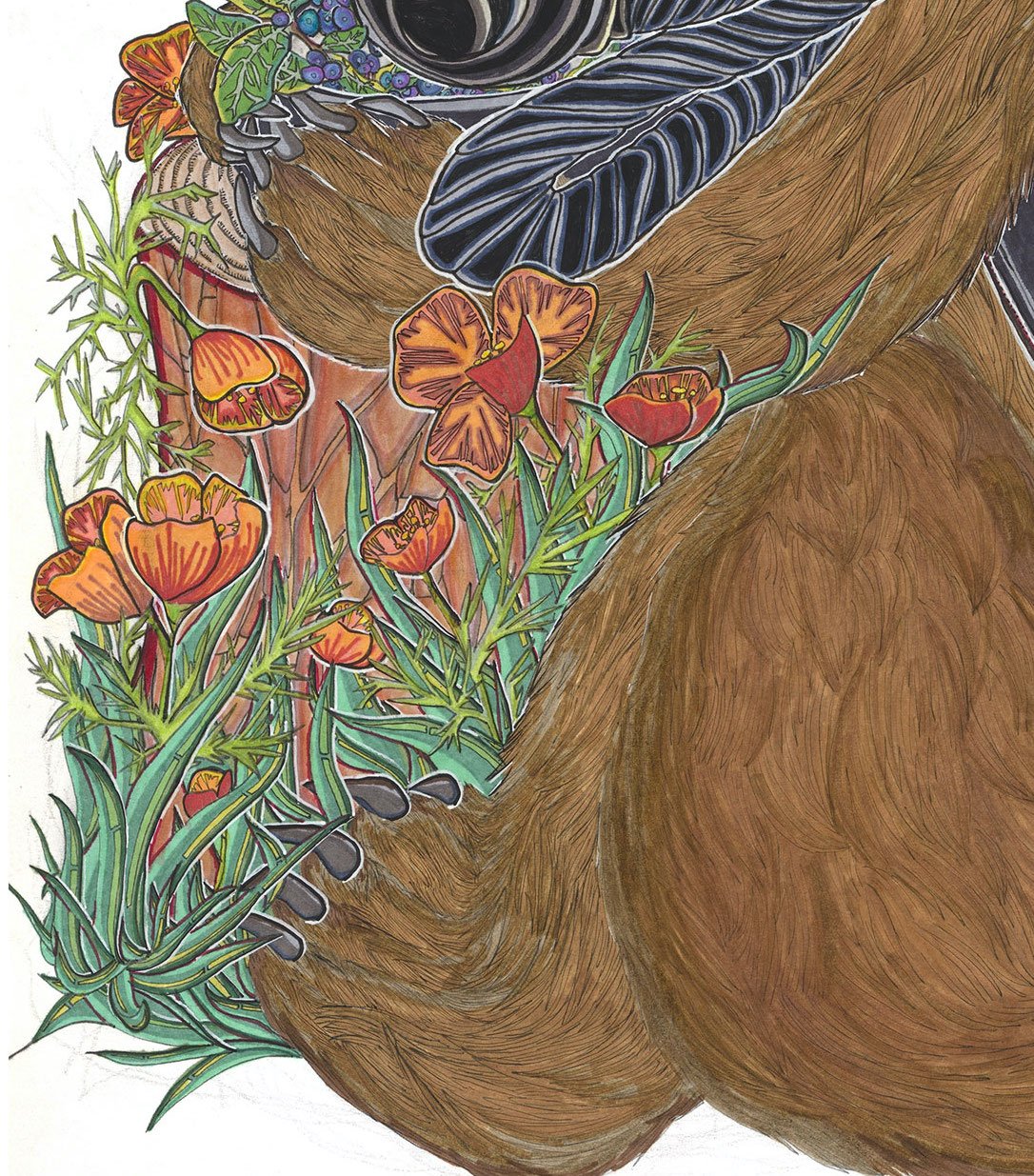 Lucas_Bear_0003 (1) crop 2 copy.jpeg