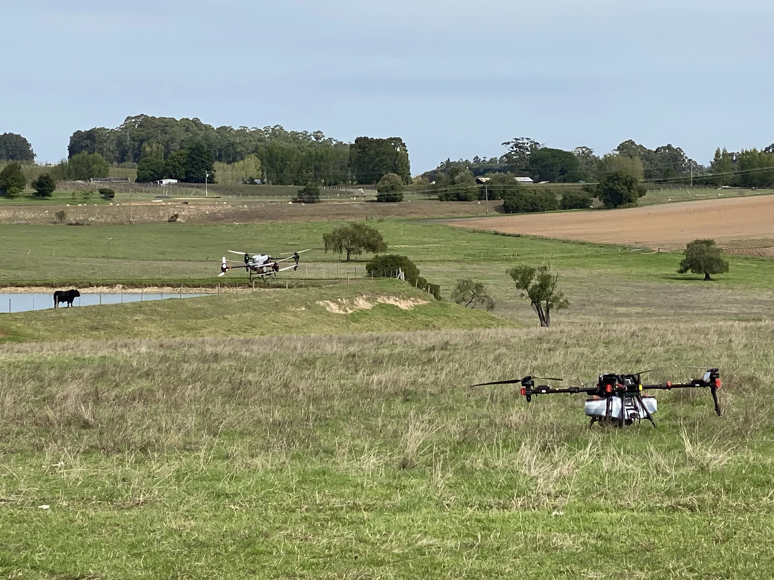 Drone Spraying: How Effective Is It? (Demonstration Event, Vic)