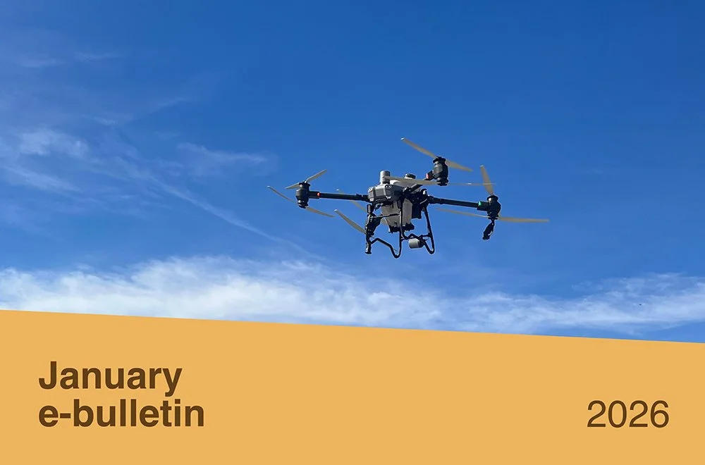 PotatoLink Bulletin January 2026