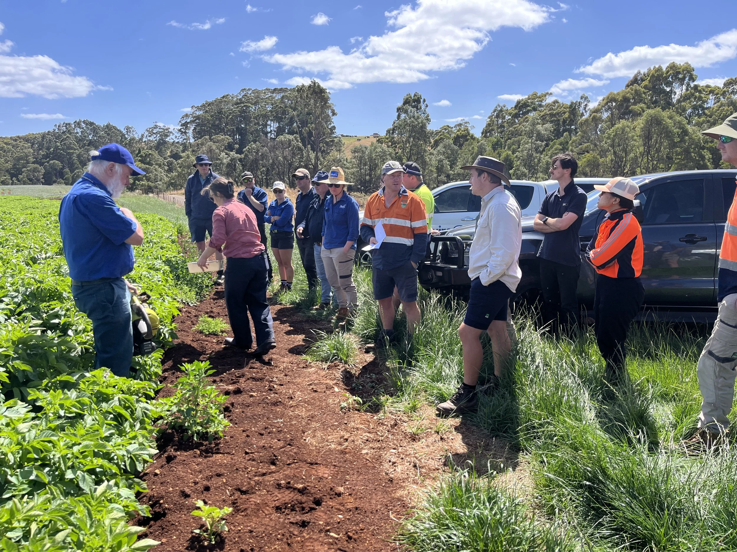 Building confidence in Integrated Pest Management for potatoes