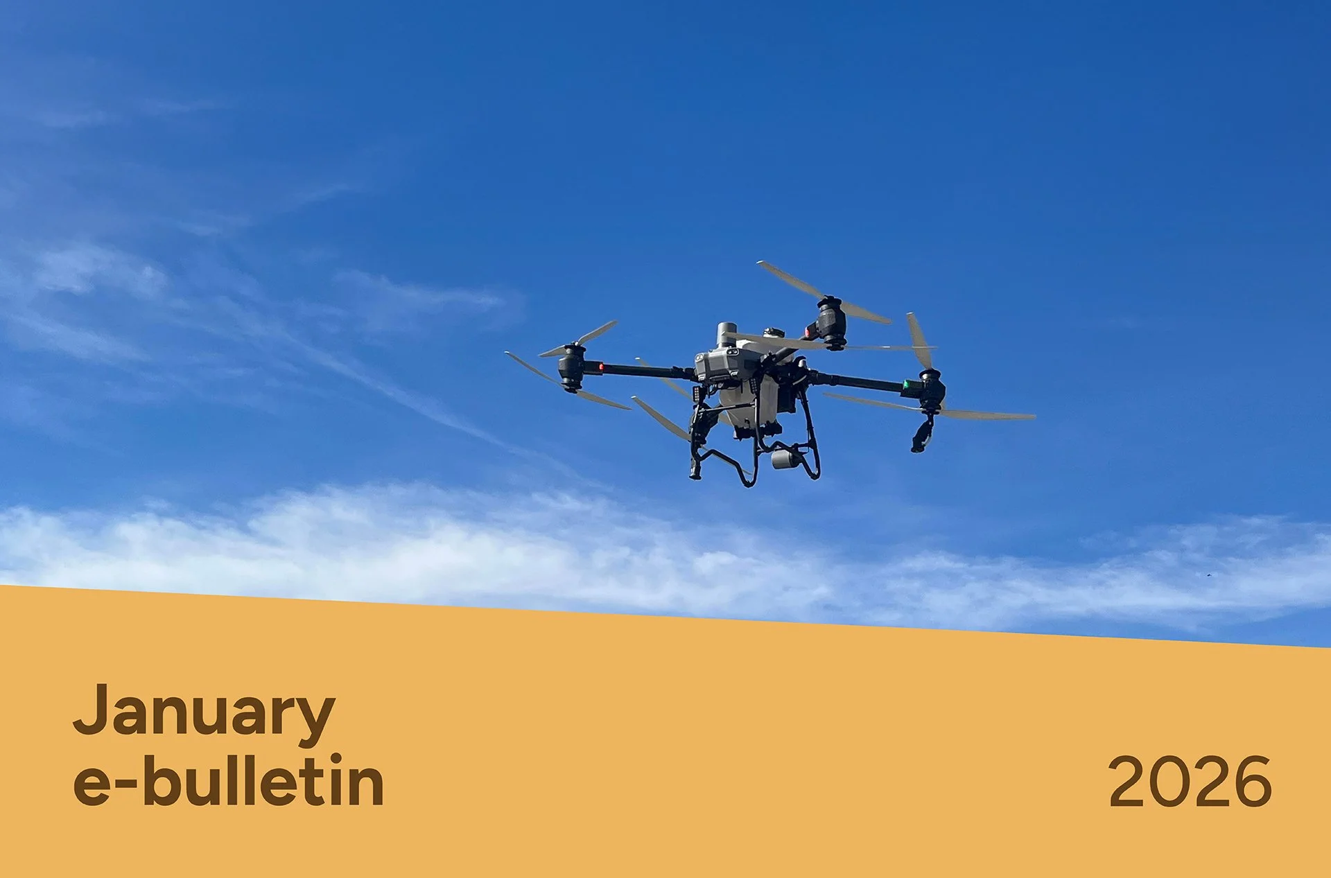 PotatoLink Bulletin January 2026