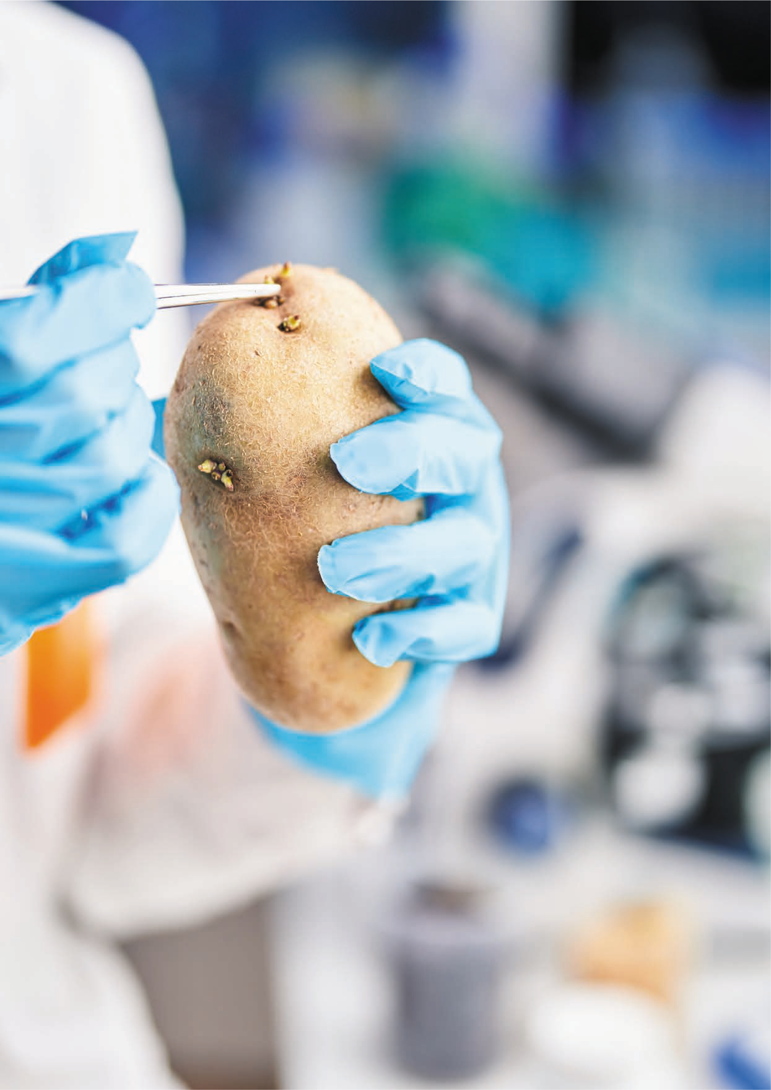 Ag-tech: Using AI to predict potato vigour through microbiome analysis