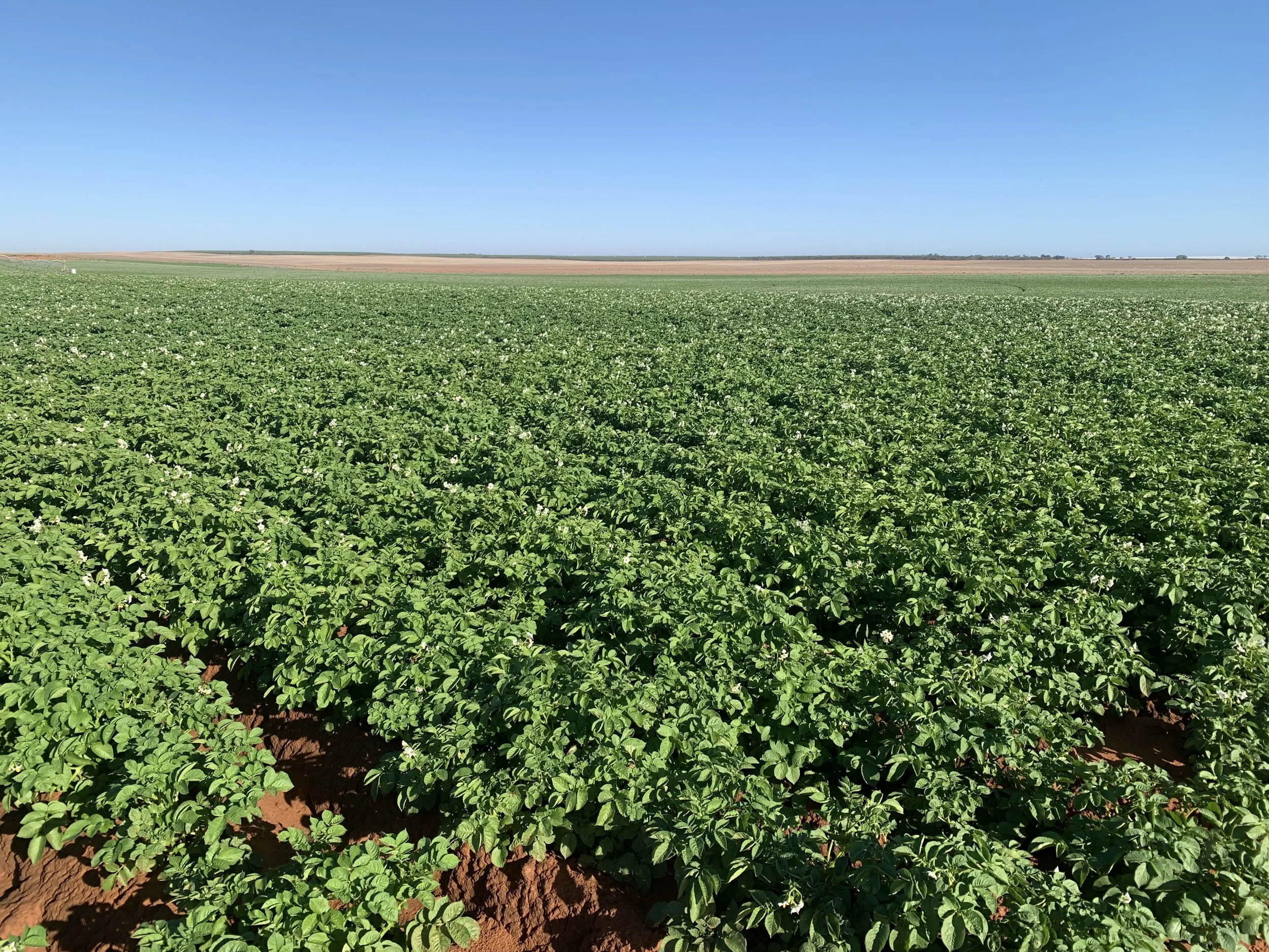 Improving Soil Health &amp; Nutrition with Joel Williams