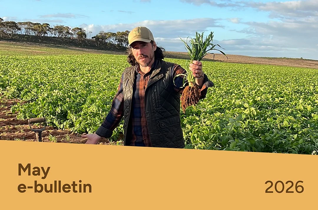 PotatoLink Bulletin May 2026