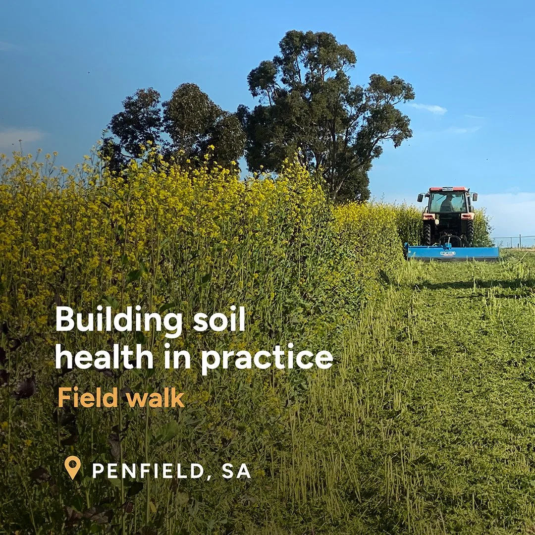 Building Soil Health in practice: Cover Crops &amp; Managing Constraints (Penfield, SA)