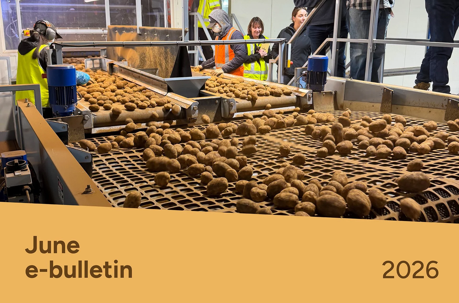 PotatoLink Bulletin June 2026