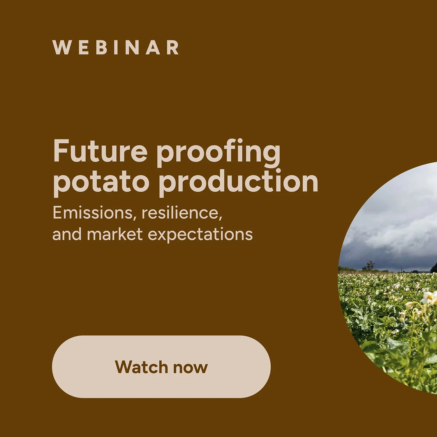 PotatoLink Webinar: Future proofing potato production: emissions, resilience and market expectations