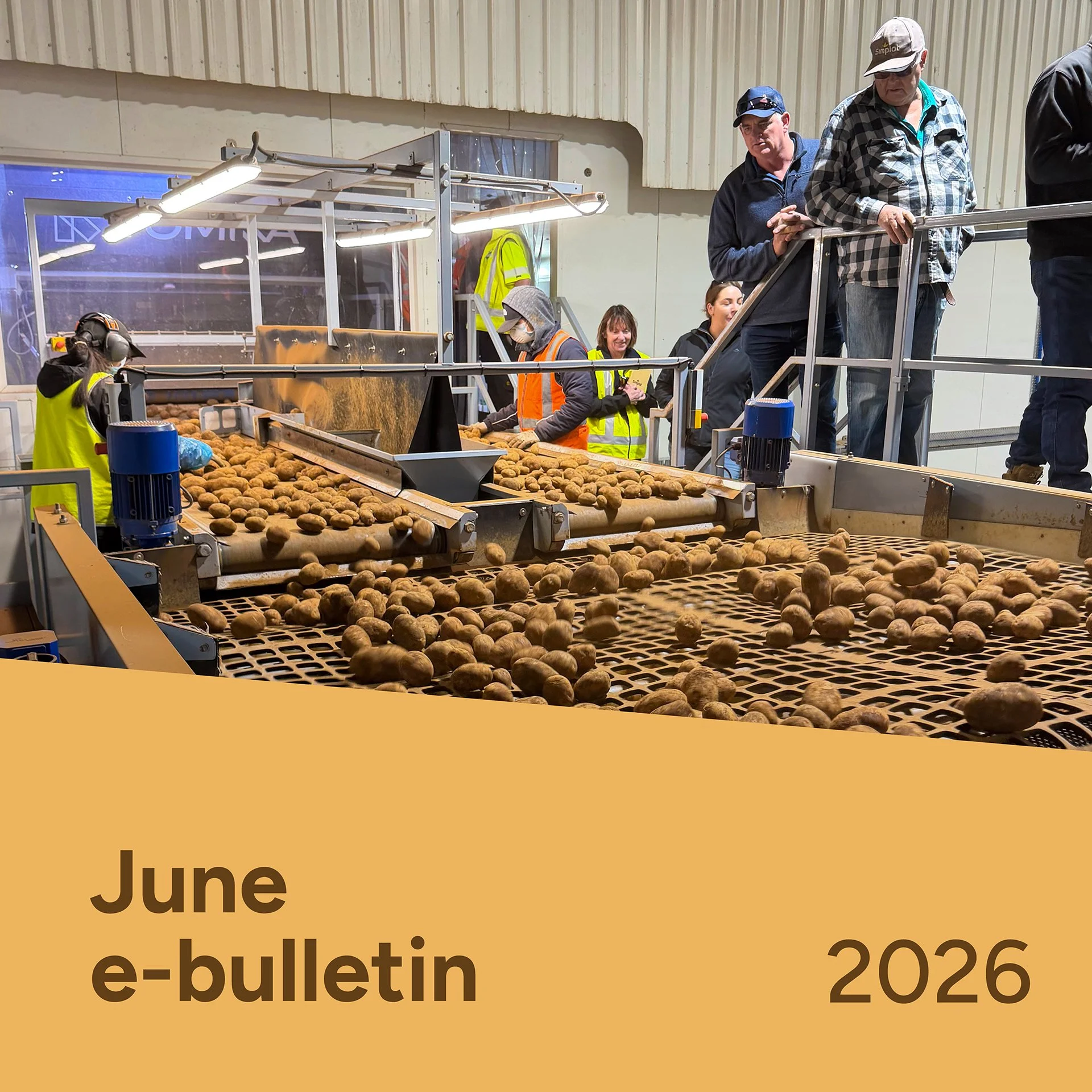 PotatoLink Bulletin June 2026