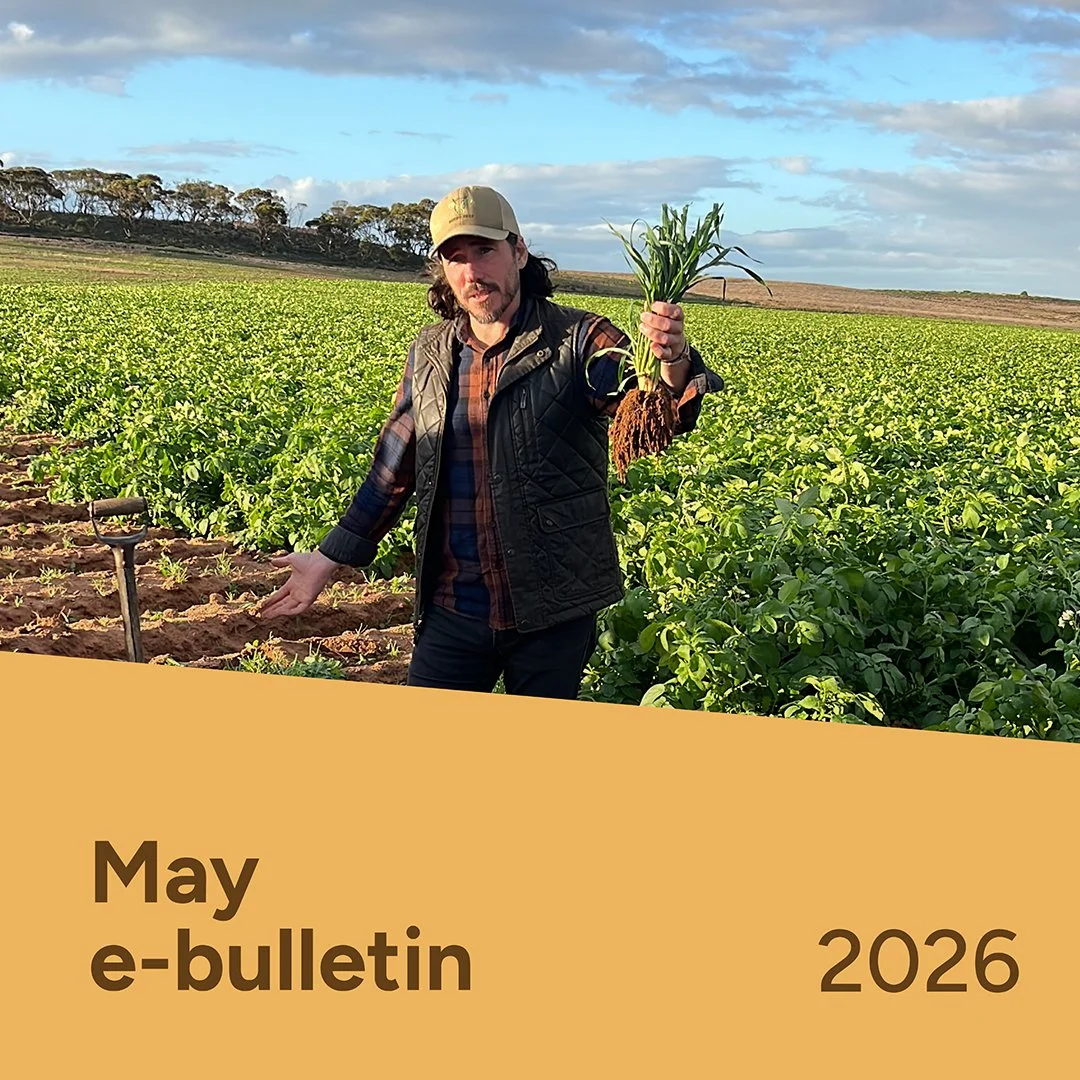 PotatoLink Bulletin May 2026