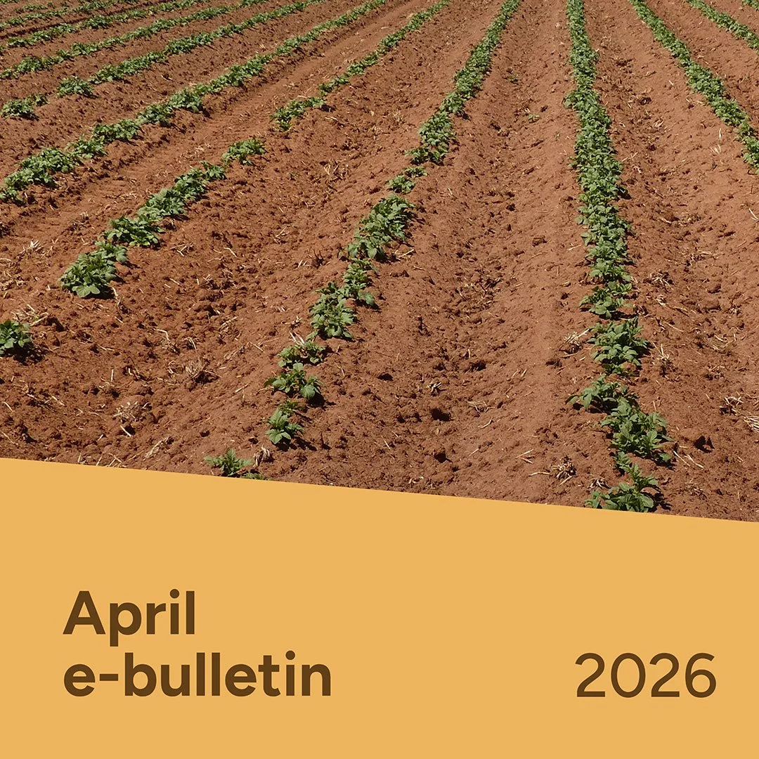 PotatoLink Bulletin April 2026