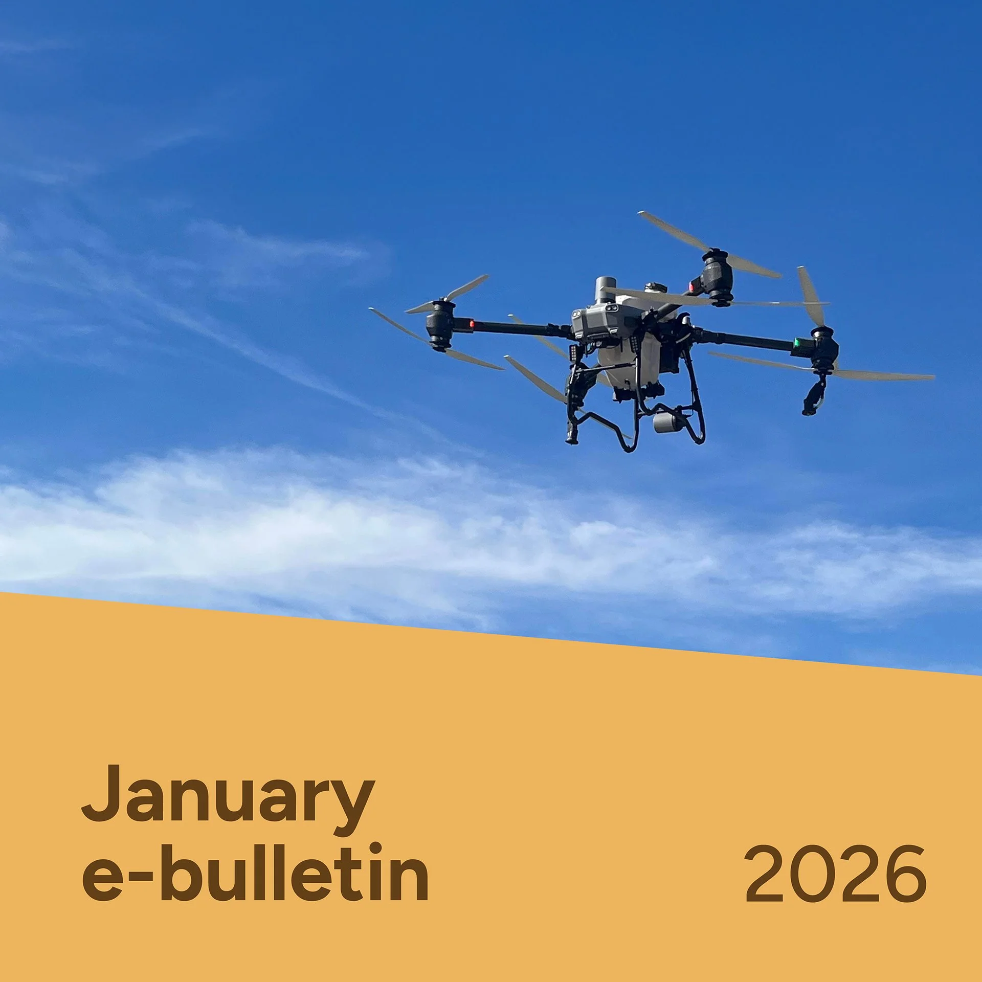 PotatoLink Bulletin January 2026