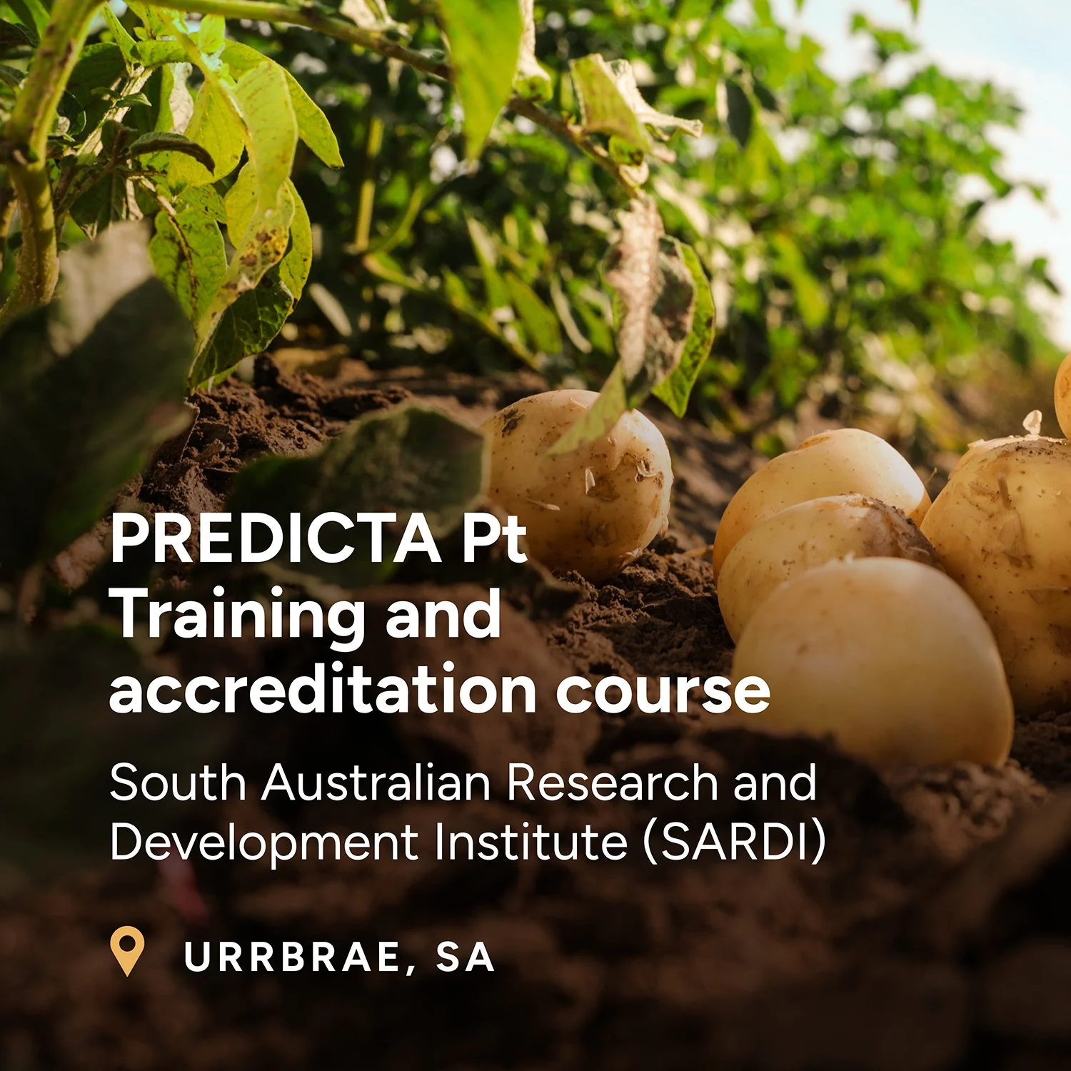 PREDICTA Pt Training and Accreditation Course - Adelaide