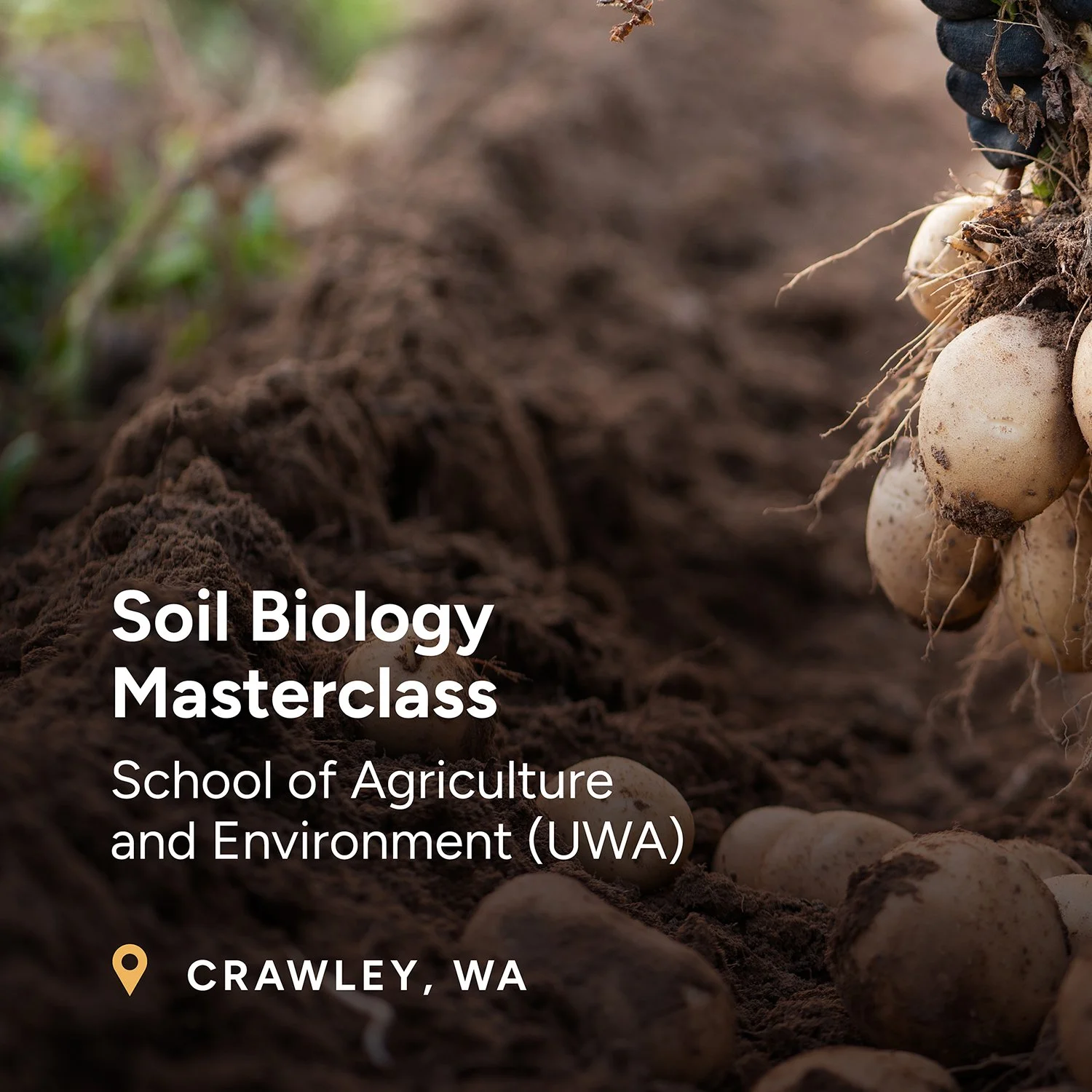 Soil Biology Masterclass with UWA