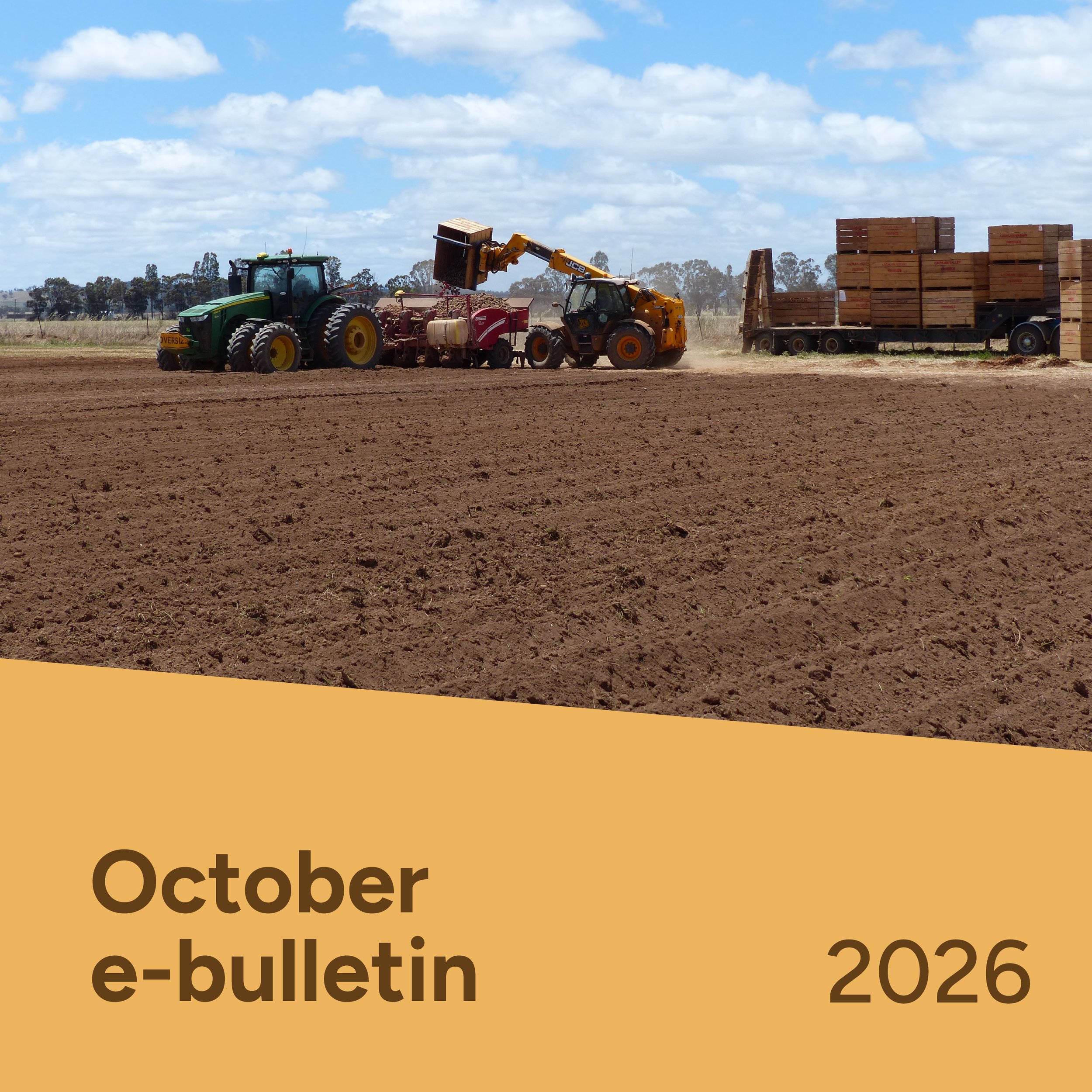 PotatoLink Bulletin October 2026
