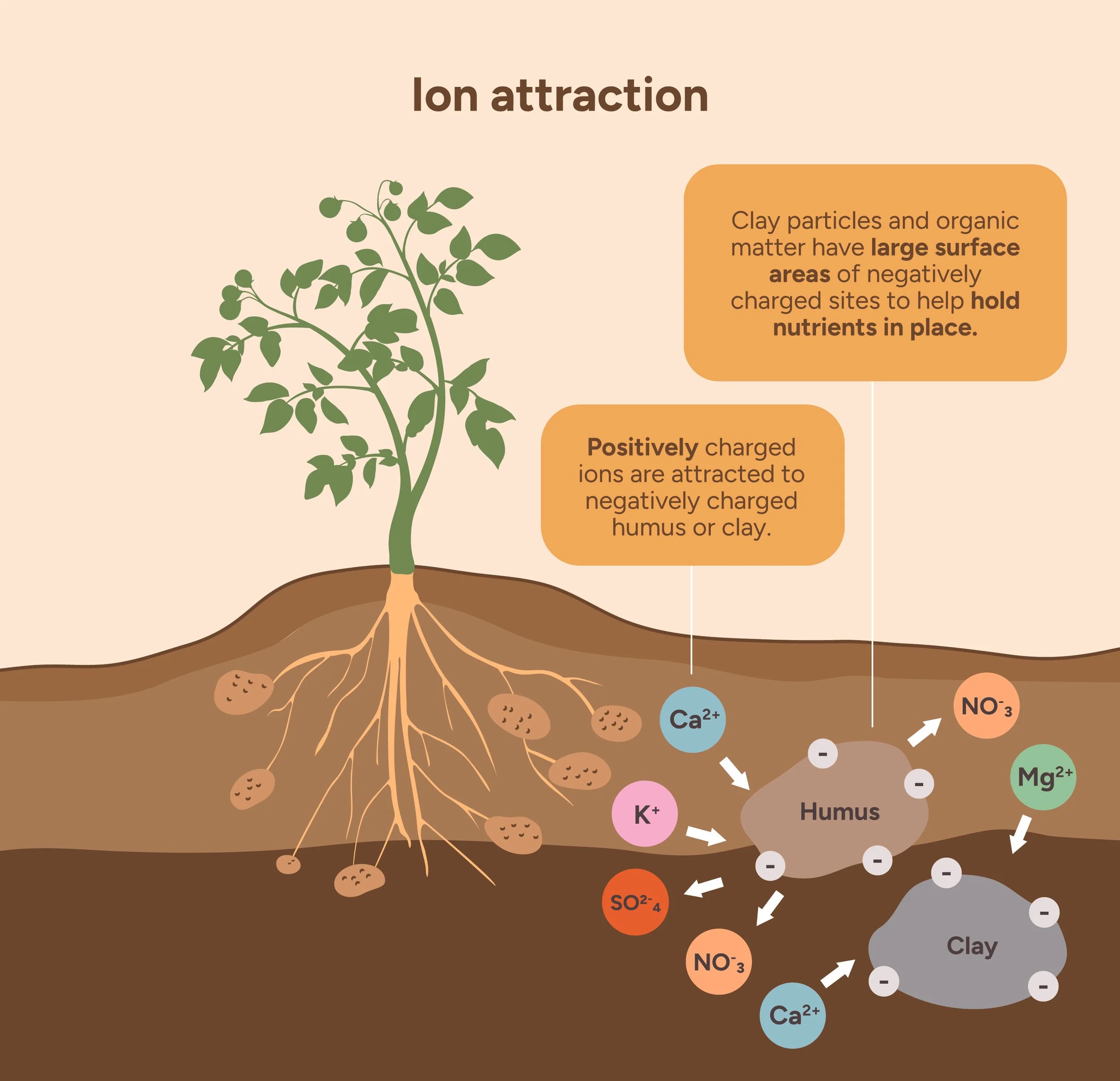 Soil chemistry 101