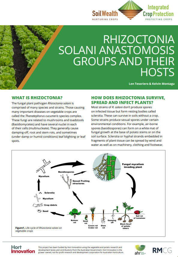 Rhizoctonia Solani anastomosis groups and their hosts — PotatoLink