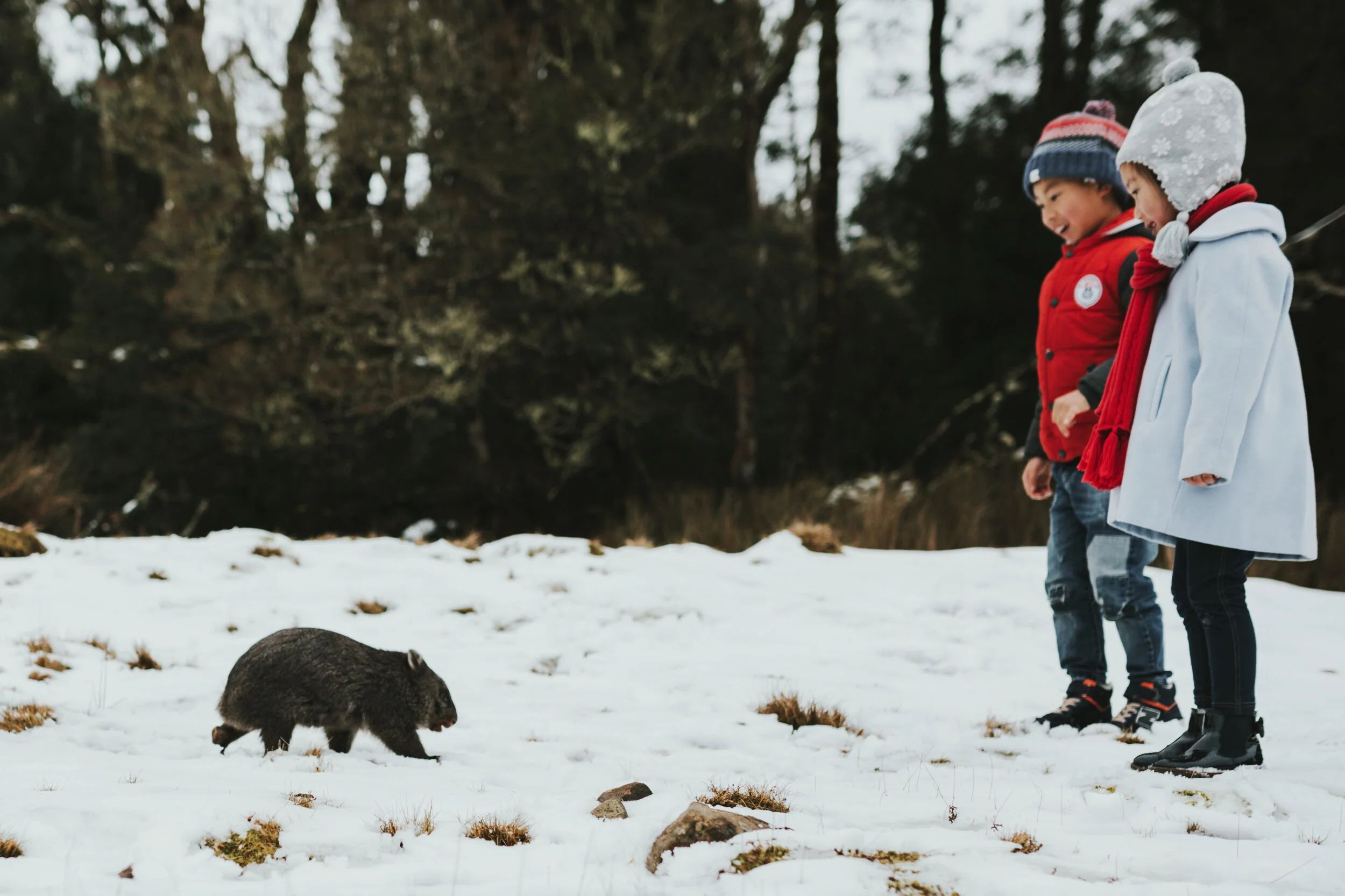 Luxury Car Hire & Touring 2 11 People