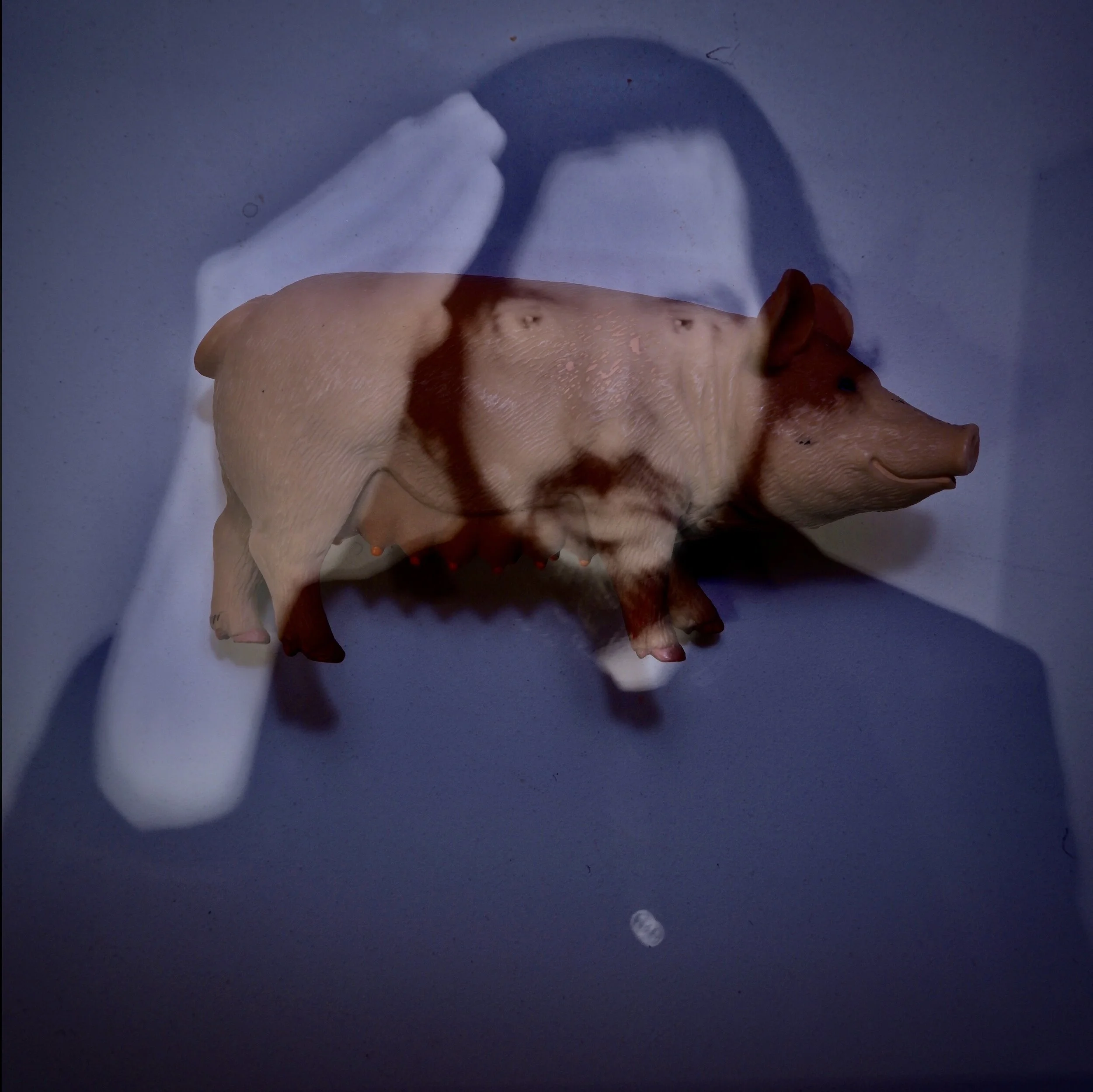 piggod.jpeg
