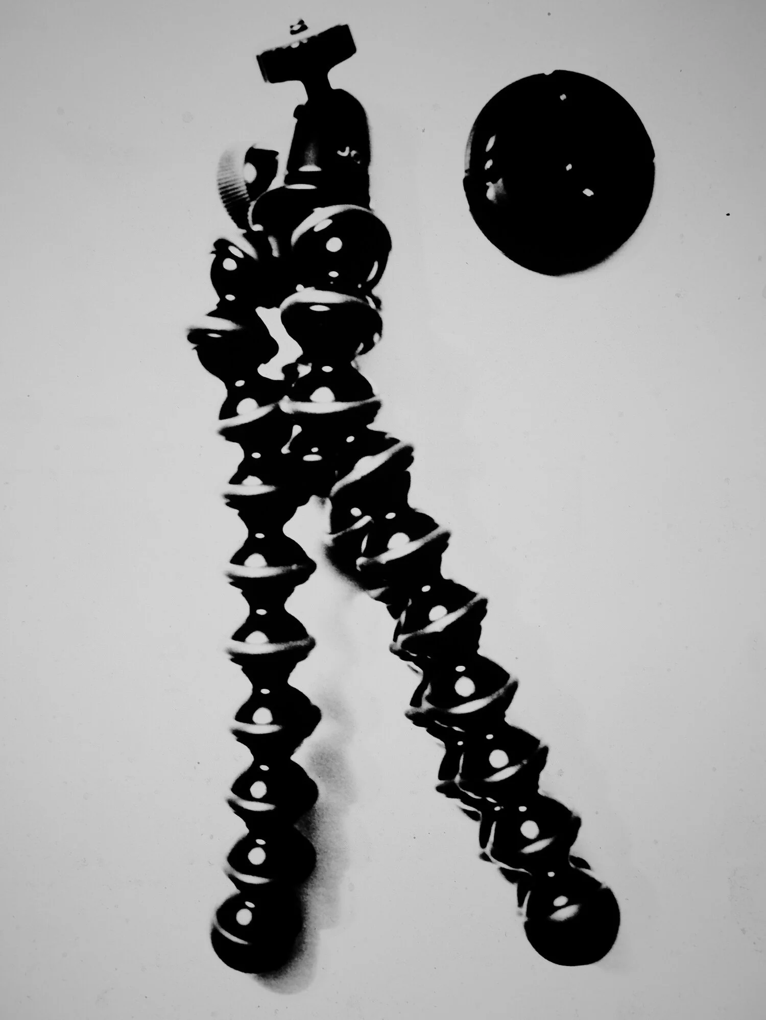 _DSF6131.JPG