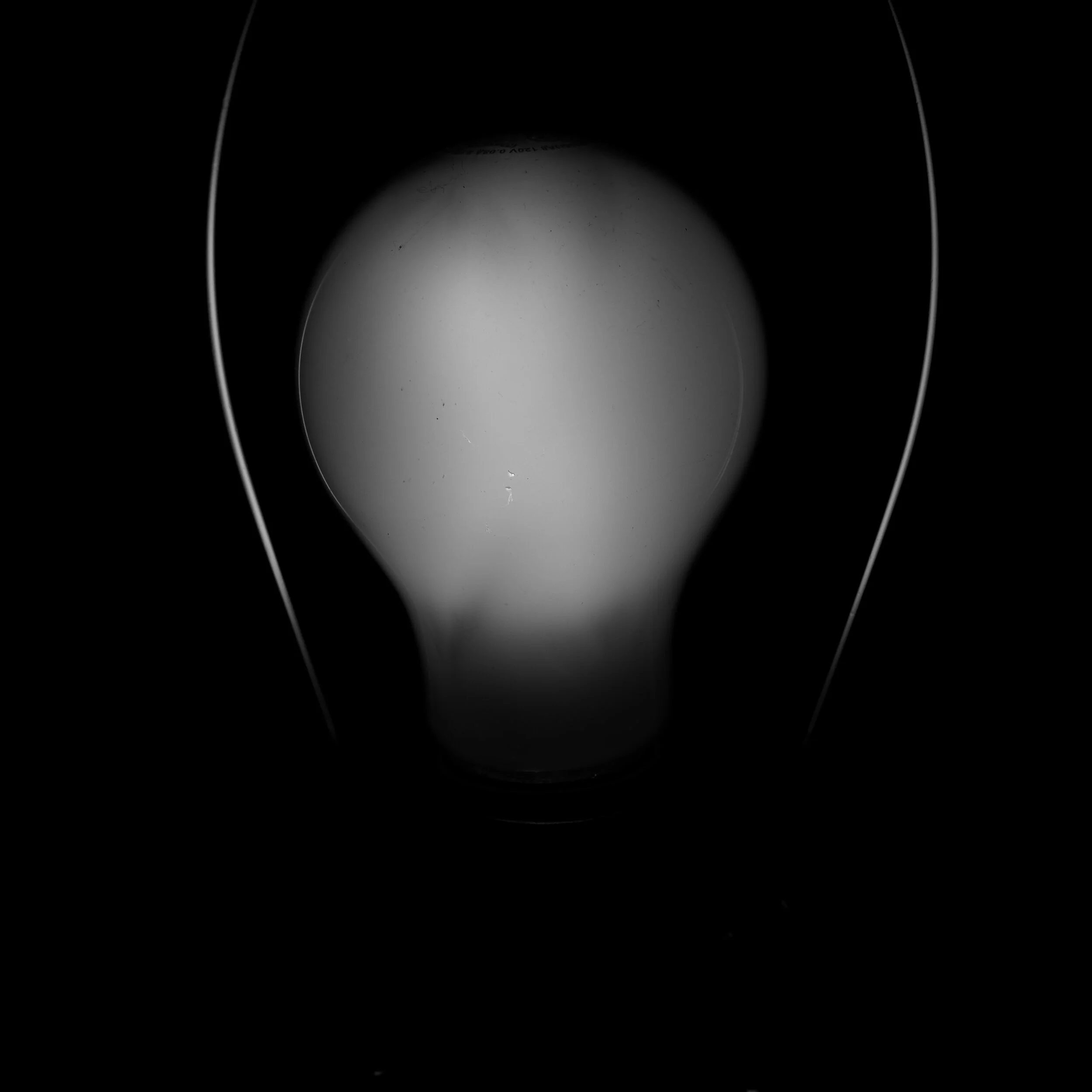 _DSF4858.JPG