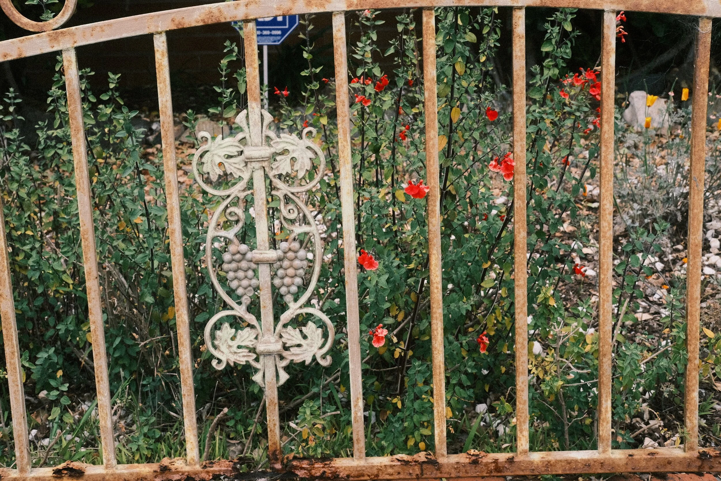 DSCF2169.JPG