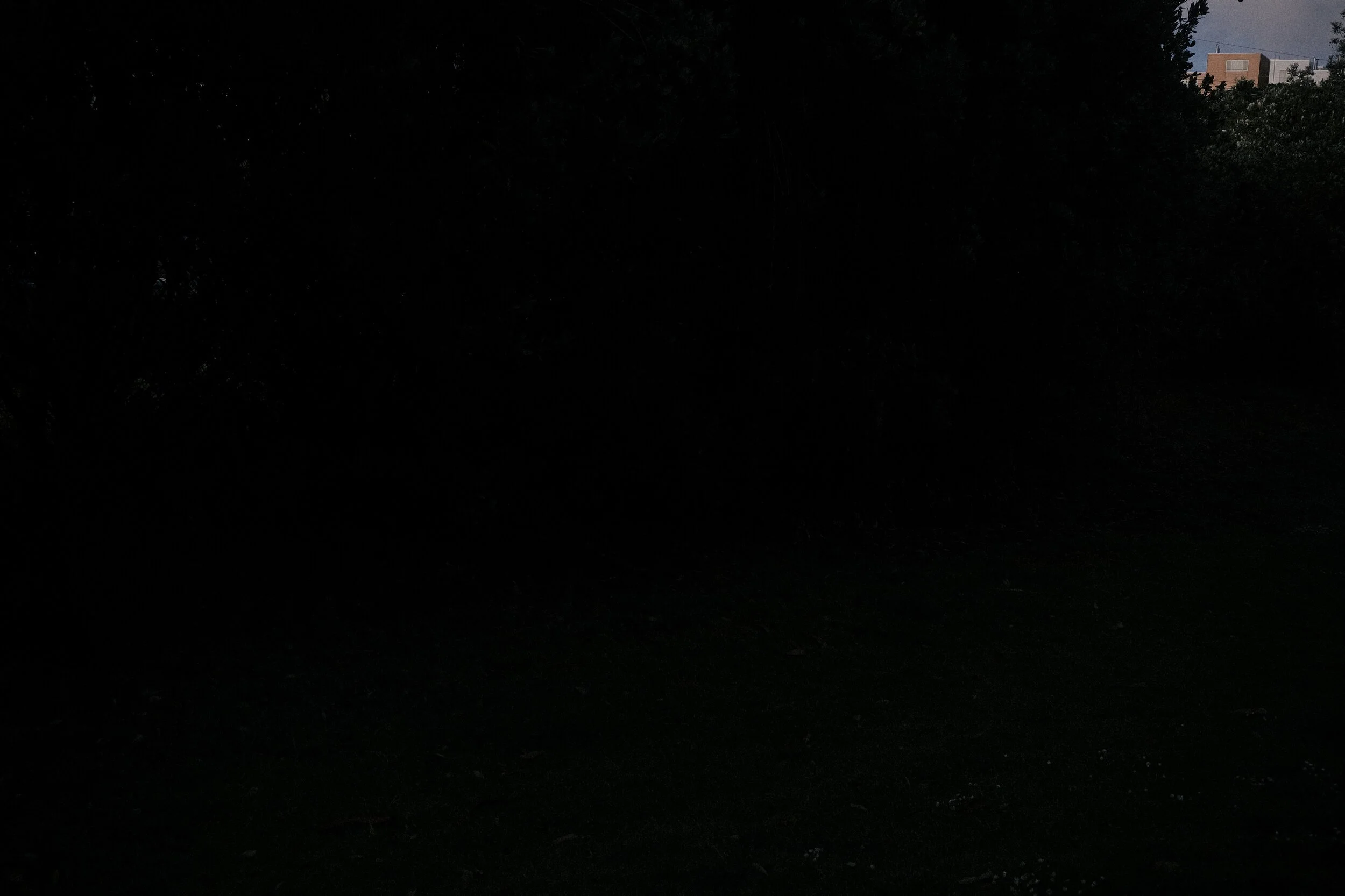 DSCF2938.JPG