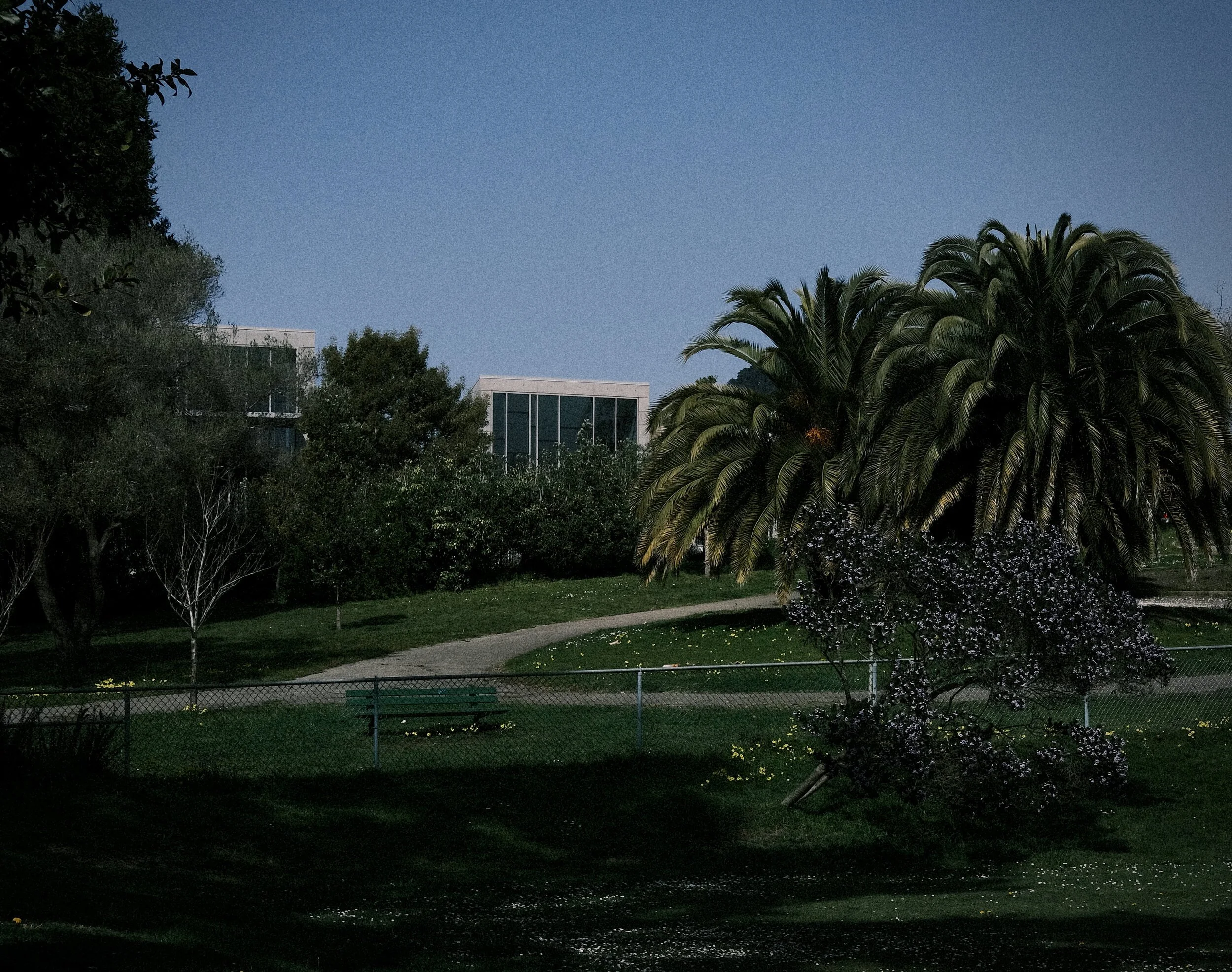 DSCF6883.JPG