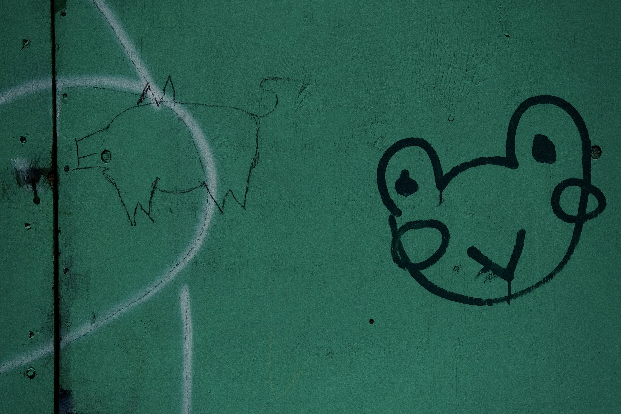 DSCF7339.JPG