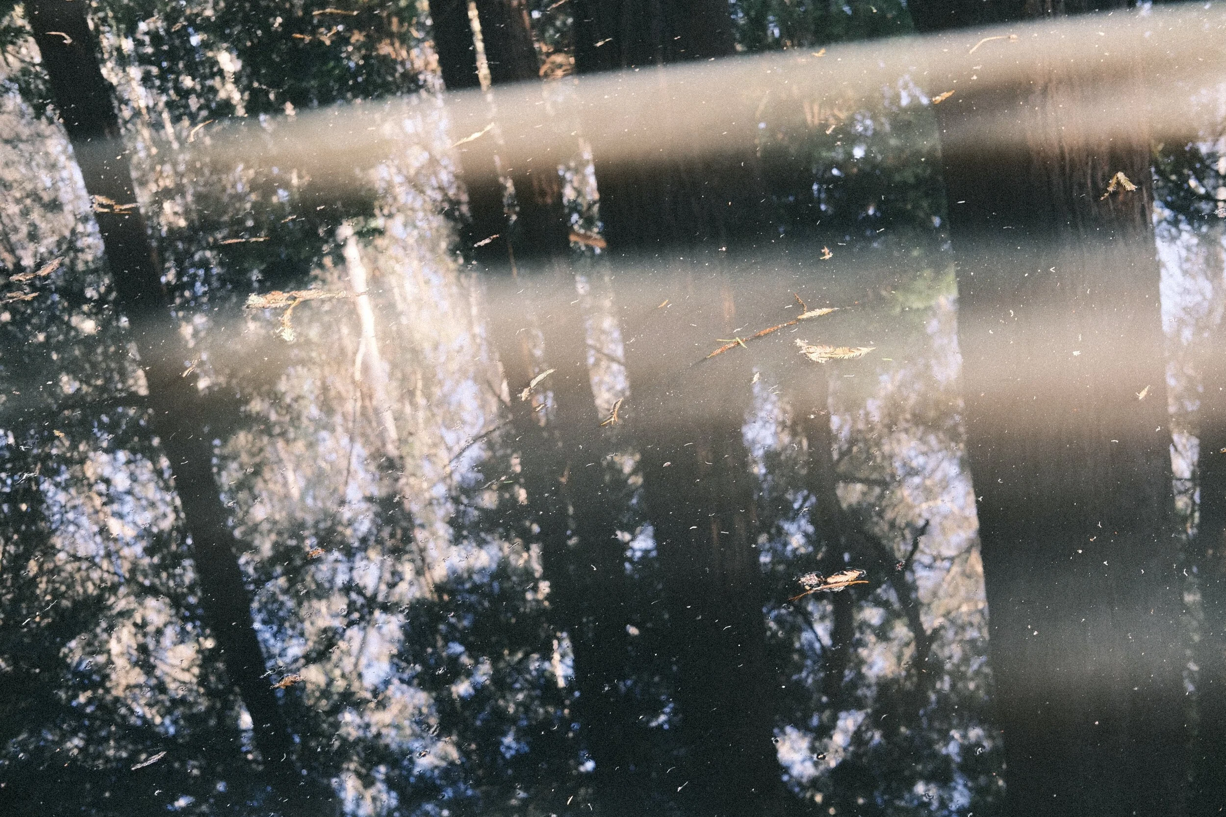 DSCF7930.JPG